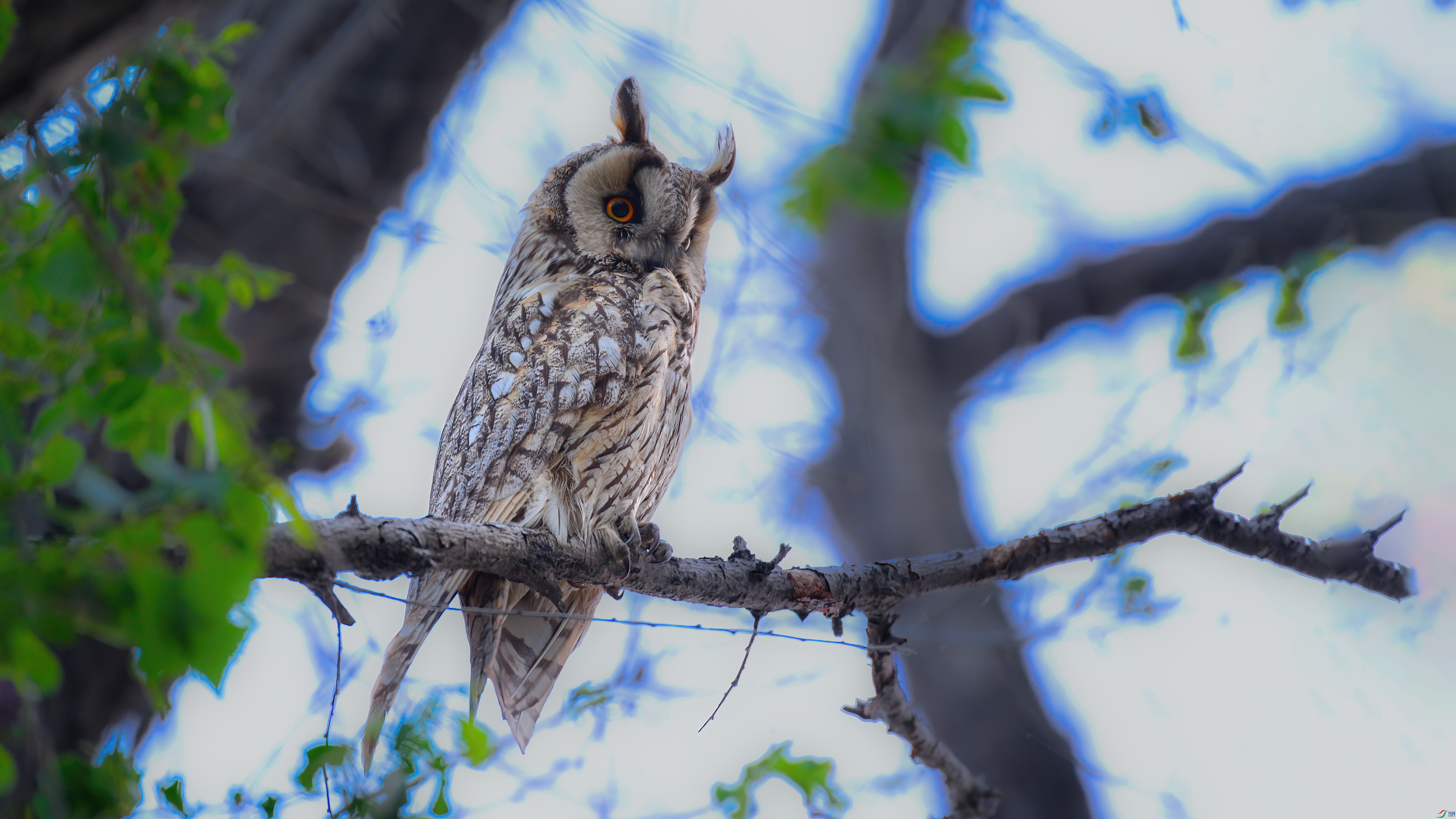 DSC_5689-0.jpg