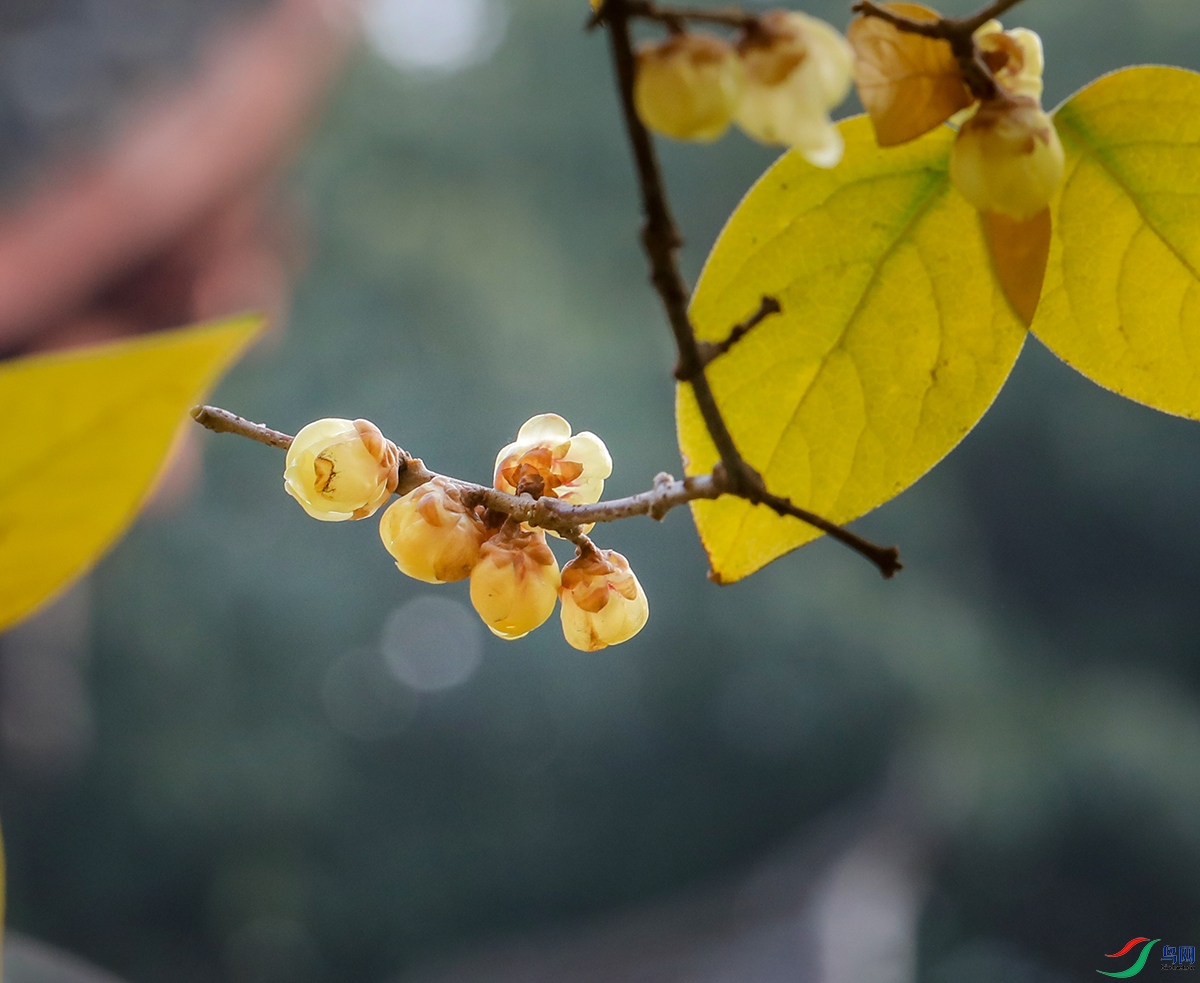 00000583A0471 ����3 ����.jpg