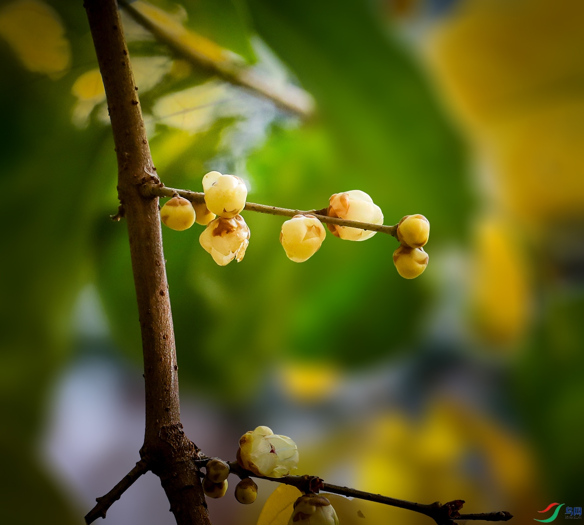 00000583A0485 ����3 ����.jpg