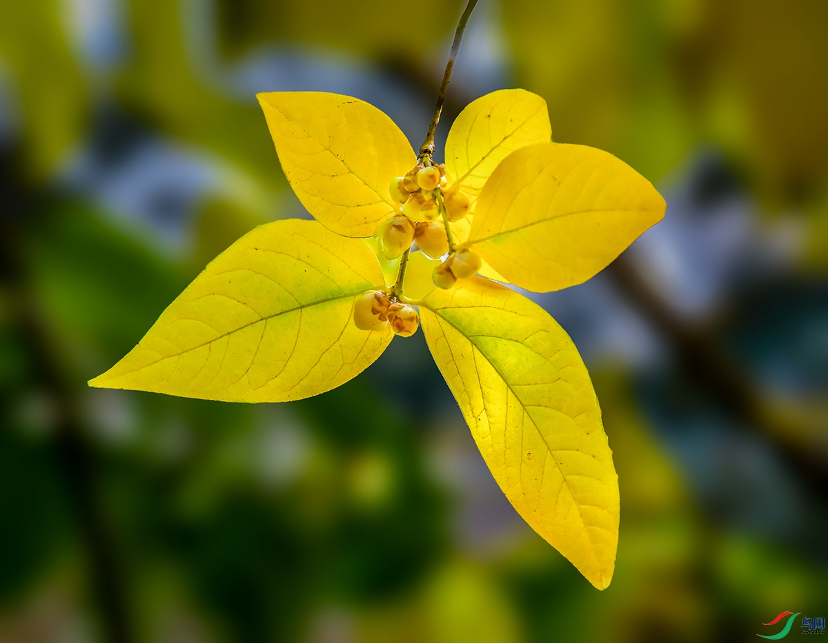 00000583A0487 ����3 ����800k ����.jpg