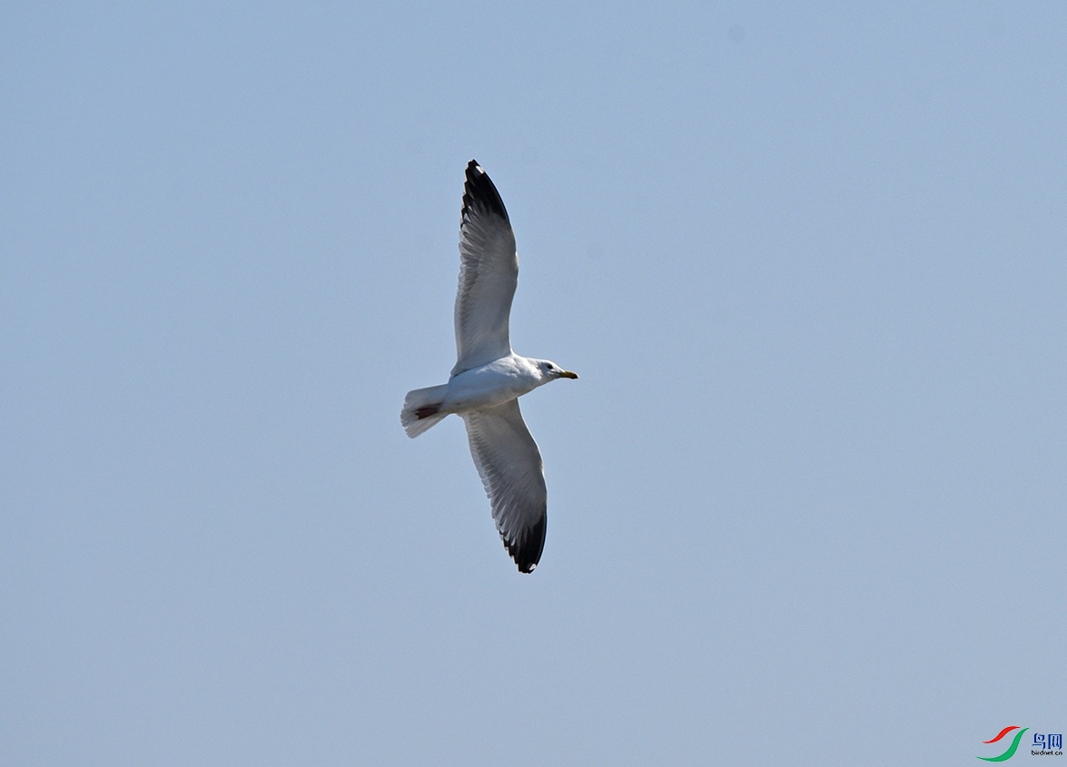 DSC_7300.jpg
