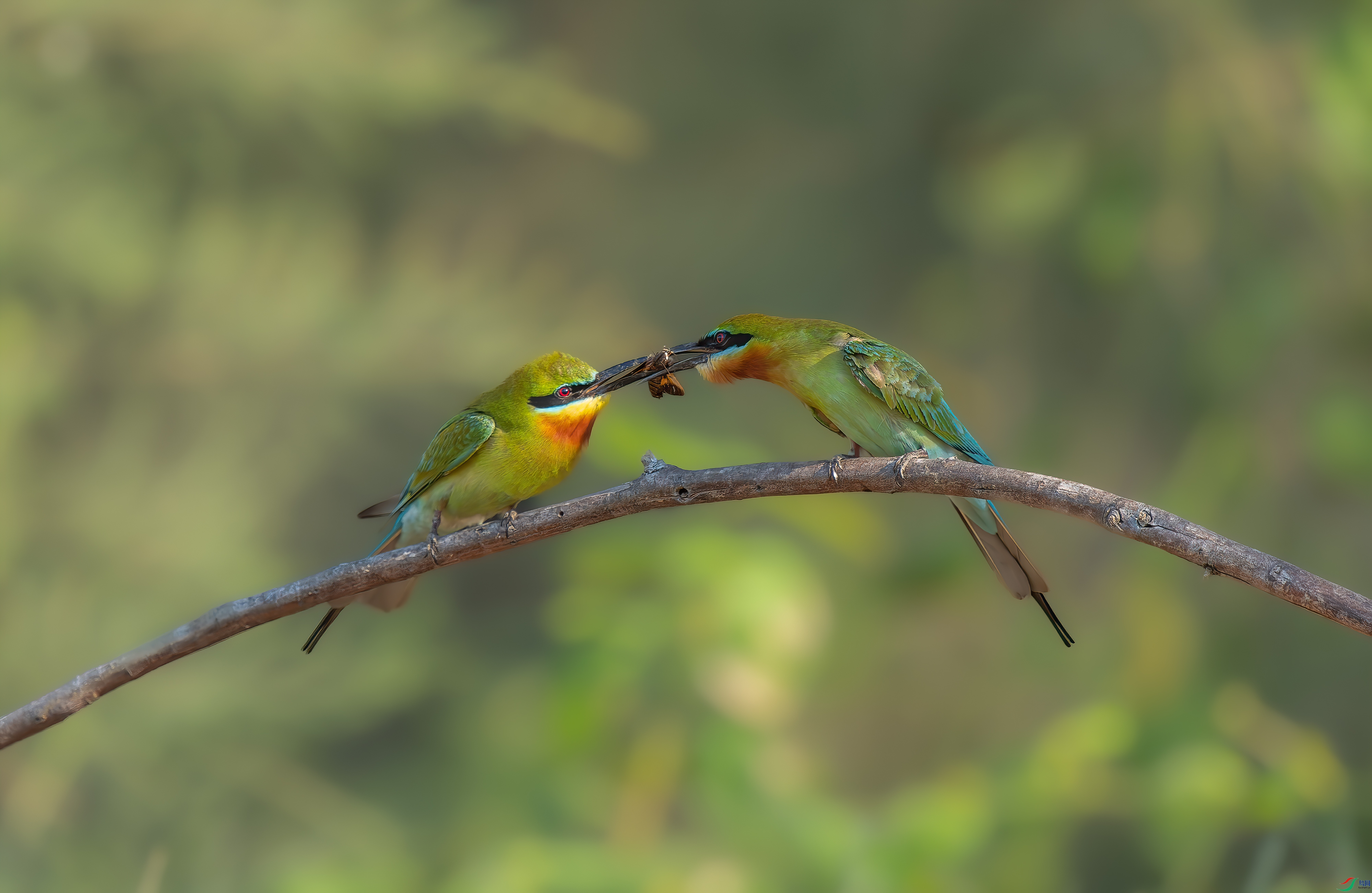 DSC_0469px.jpg