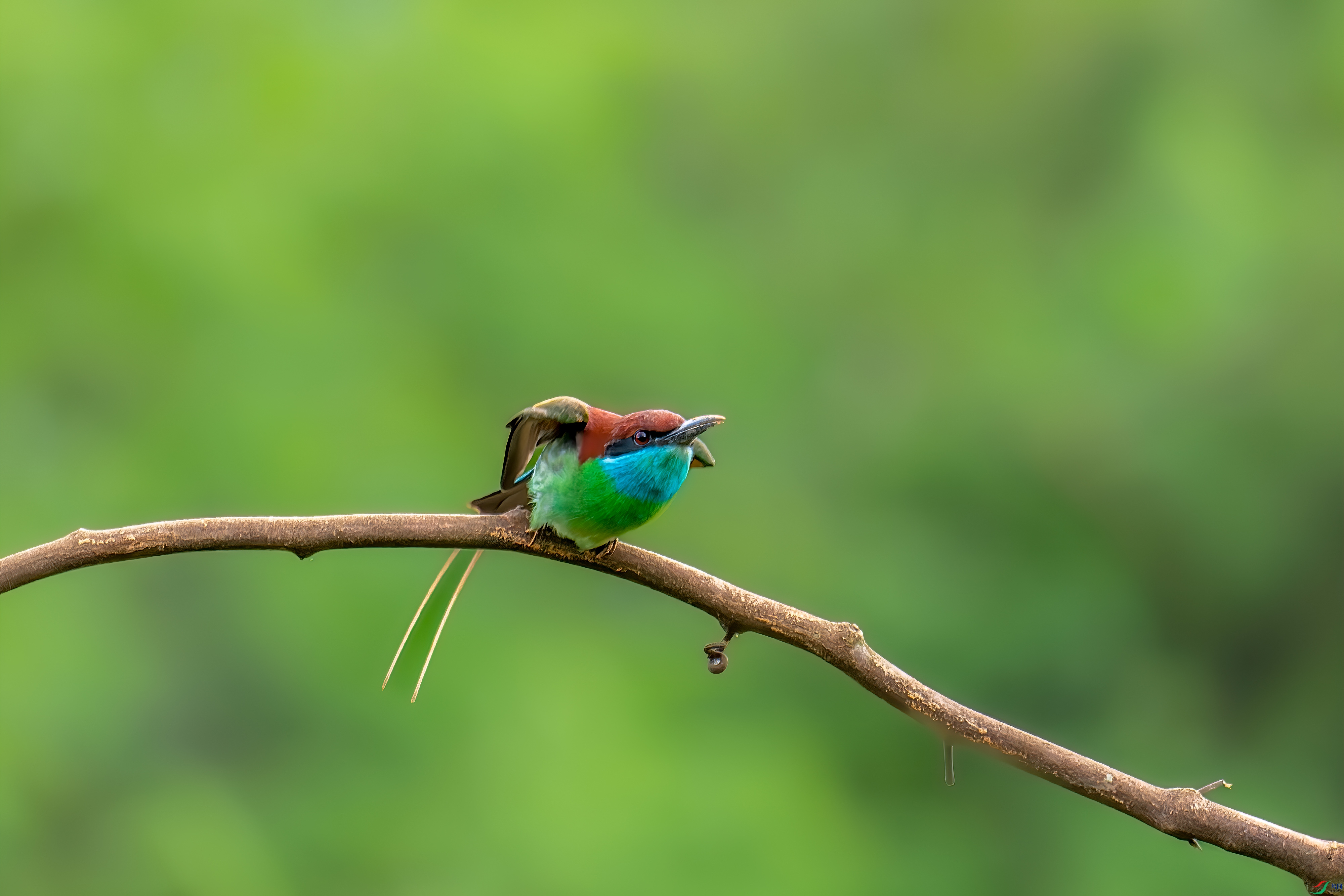 DSC_5611px_1.jpg