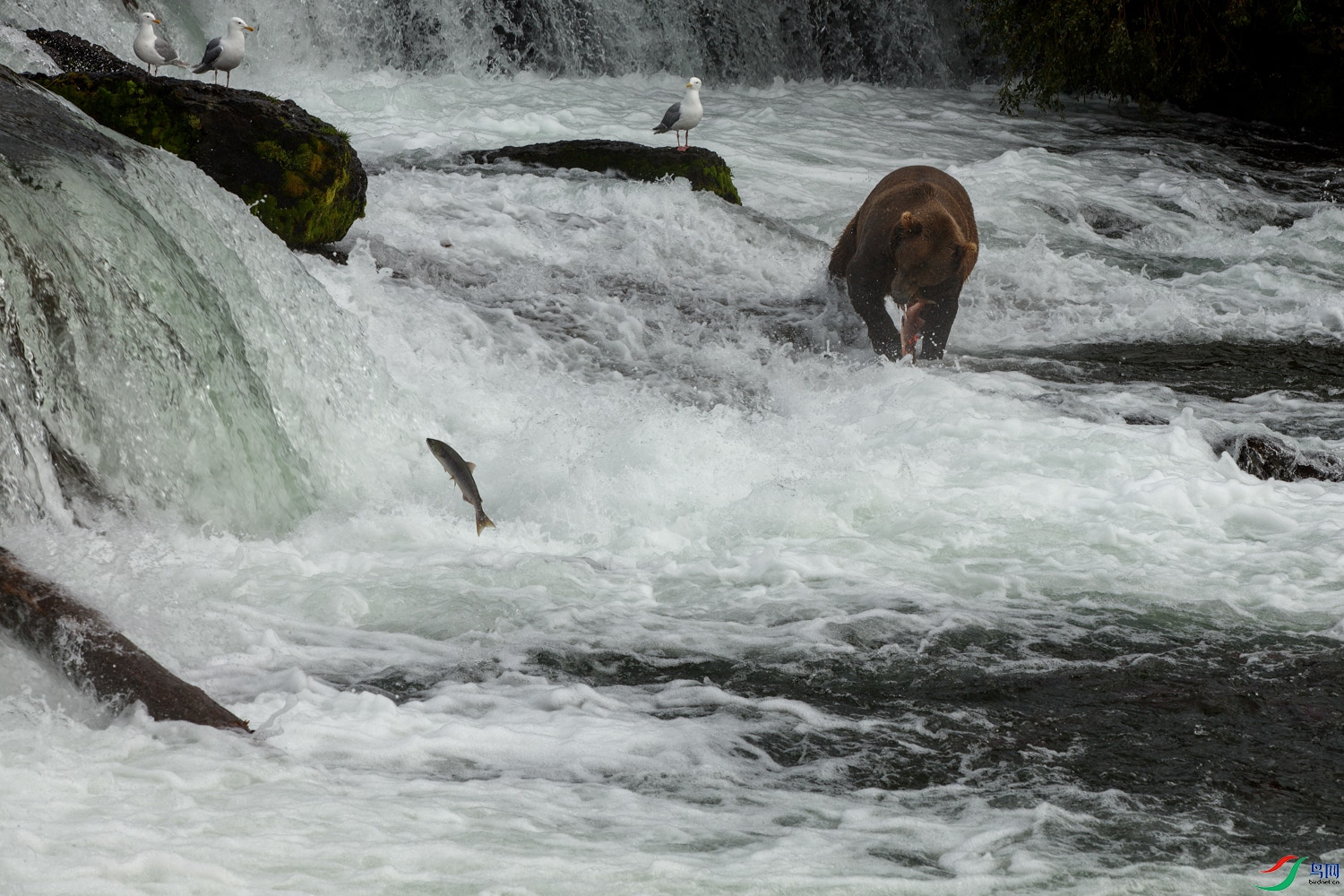 0S9A7491 ����.jpg