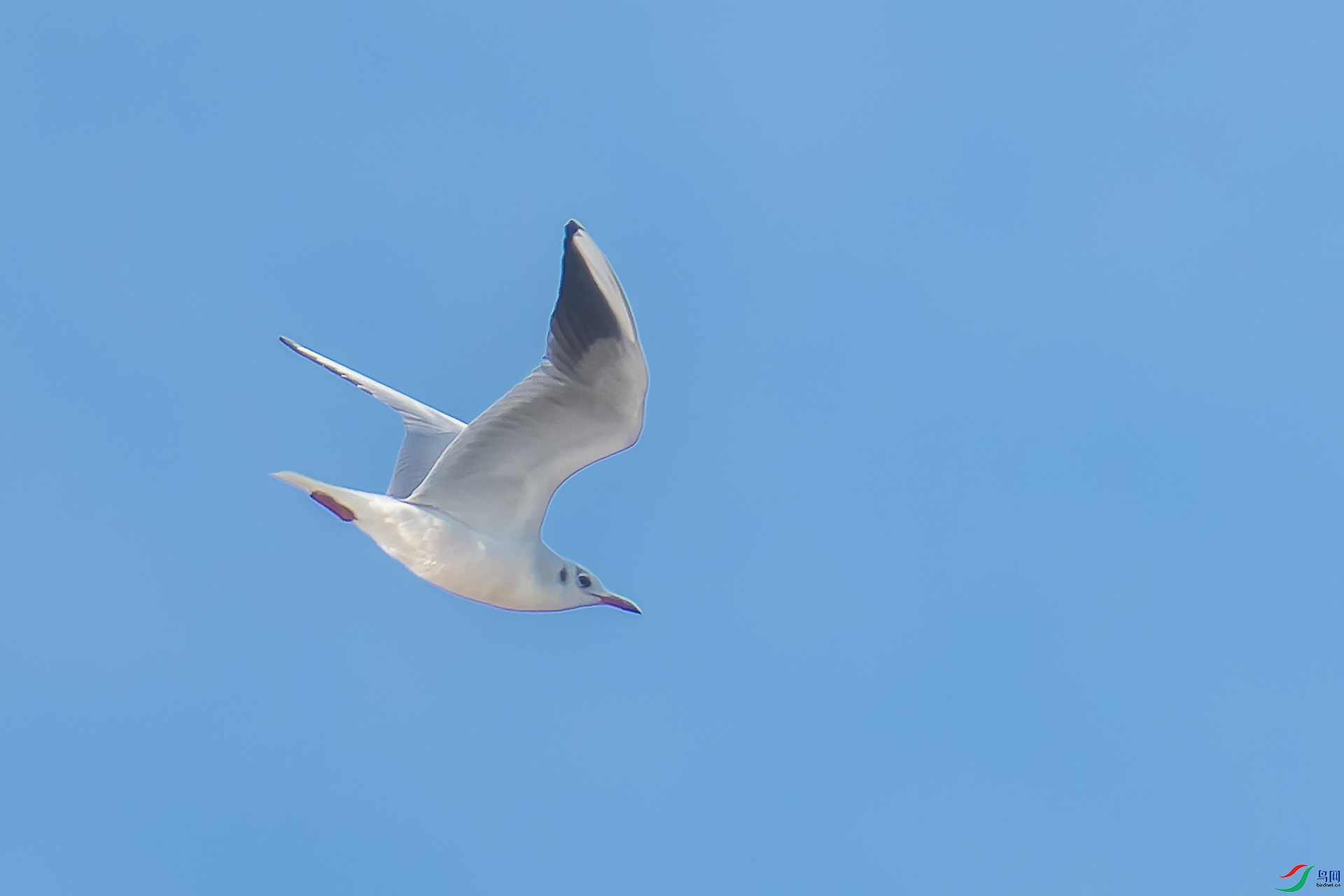 DSC00755-ARW_DxO_DeepPRIME-1-2.jpg