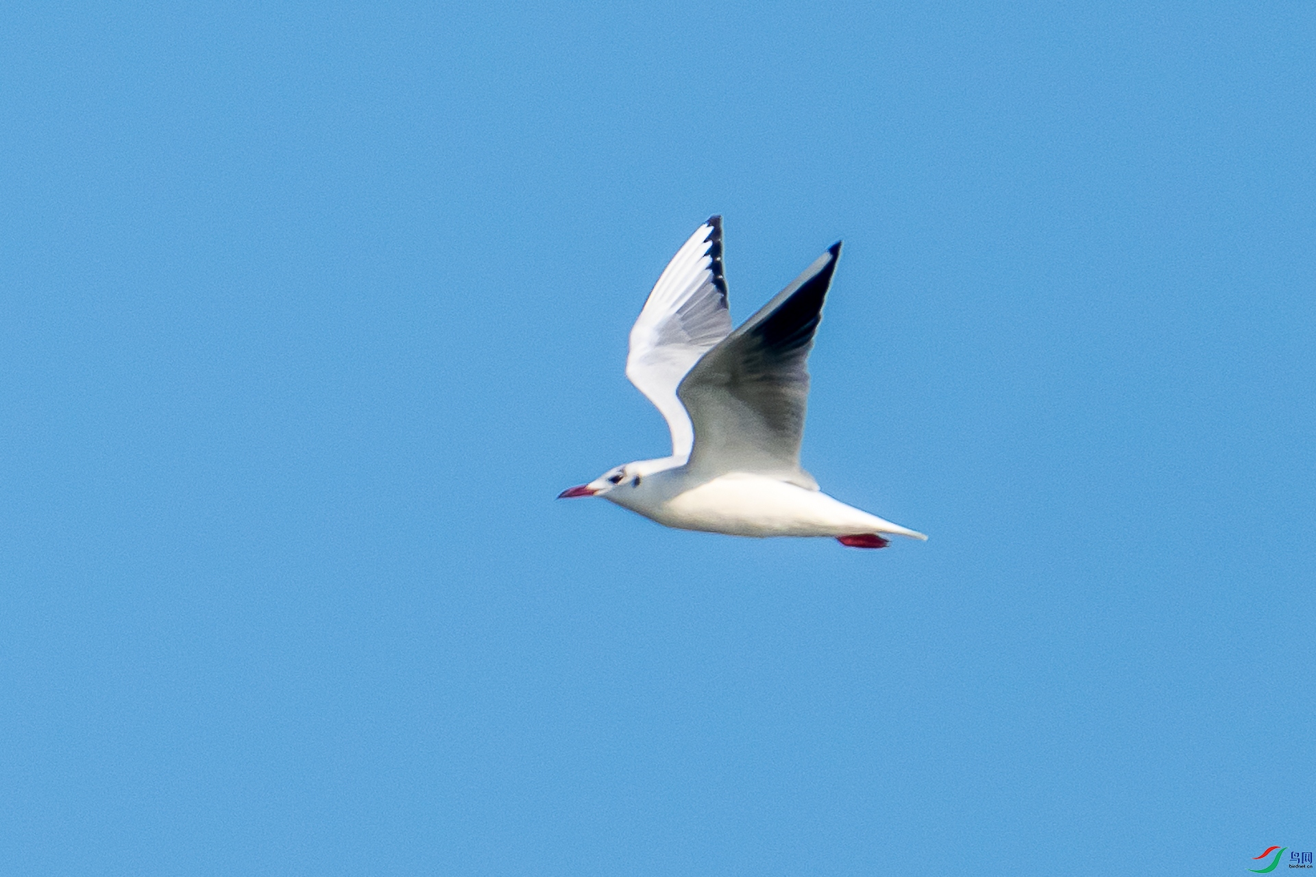 DSC00762-1-2.jpg