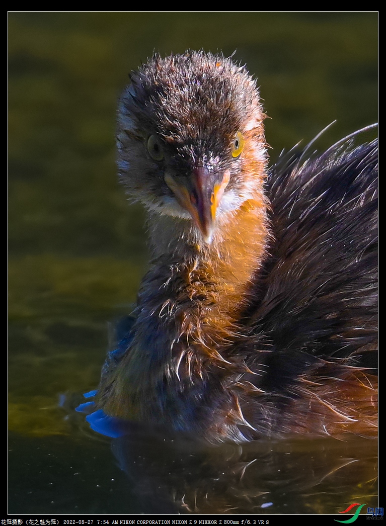 DSC_3087�ֲ��ټ���B-3_����.jpg