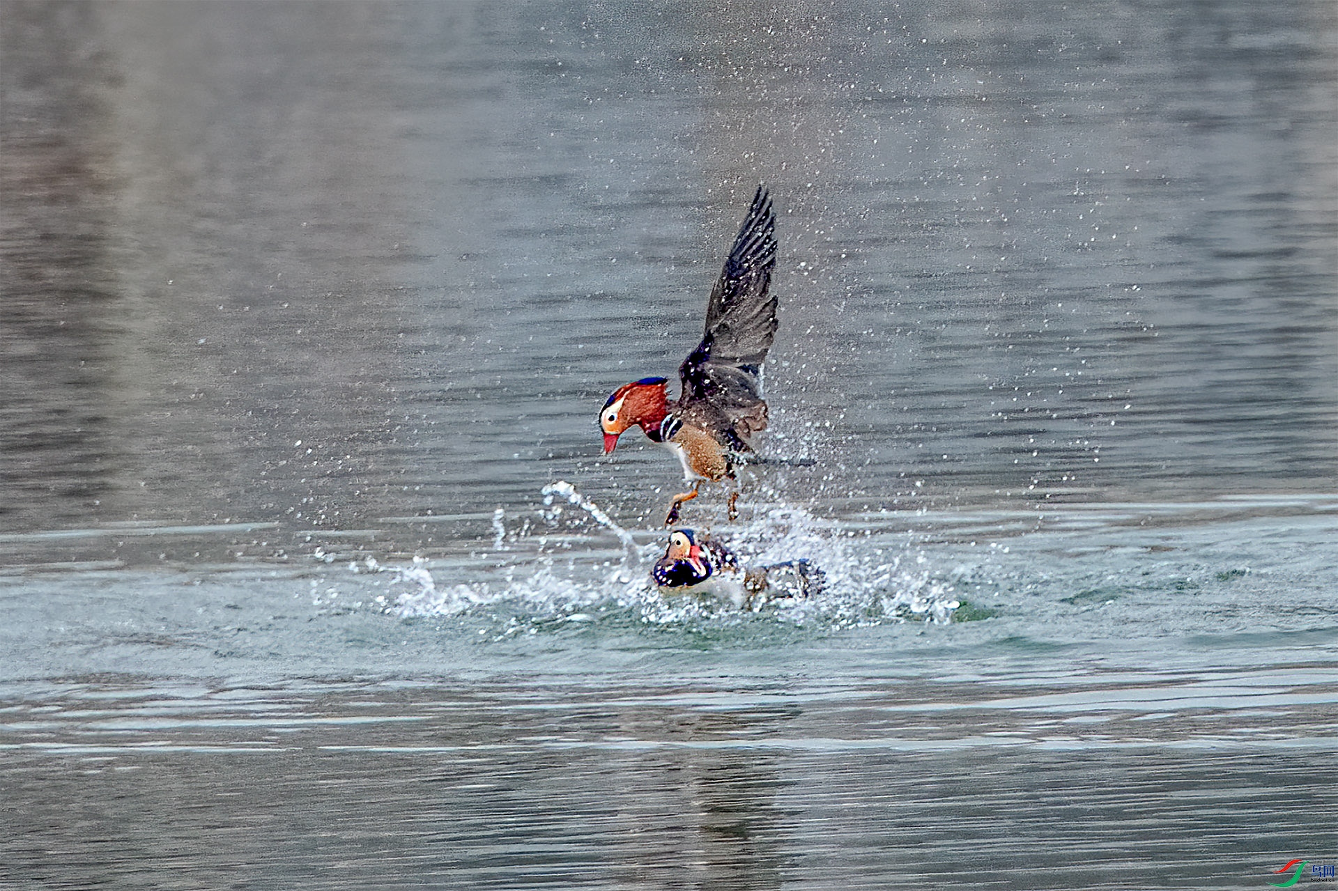 DSC_0581-9.jpg