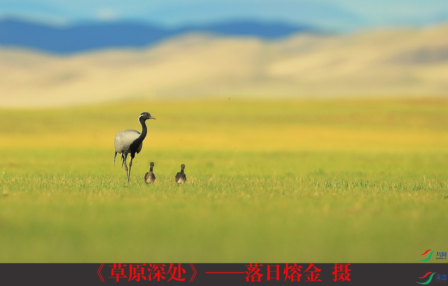 ����ԭ������������۽�  ��.jpg