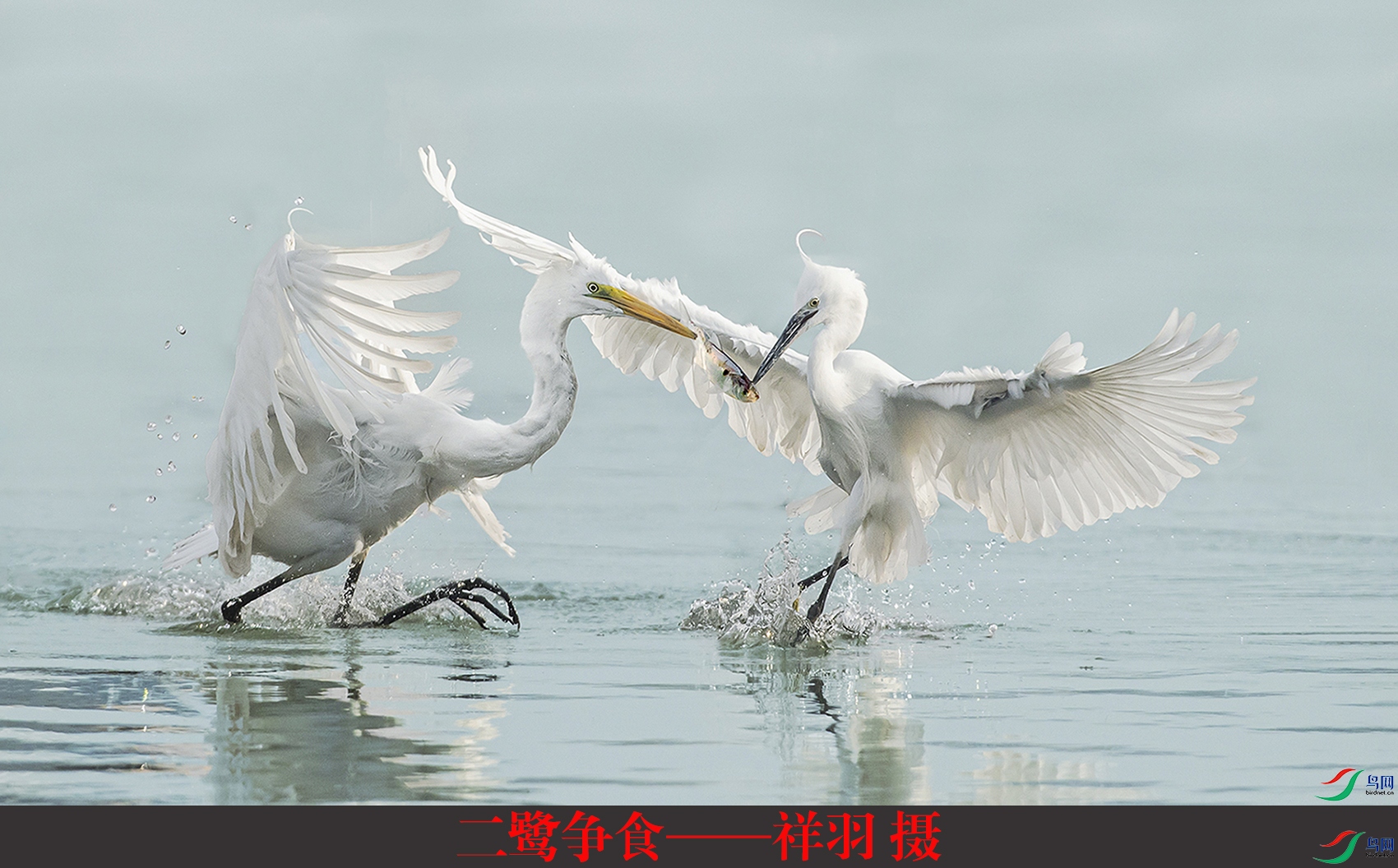 ������ʳ�������� ��.jpg