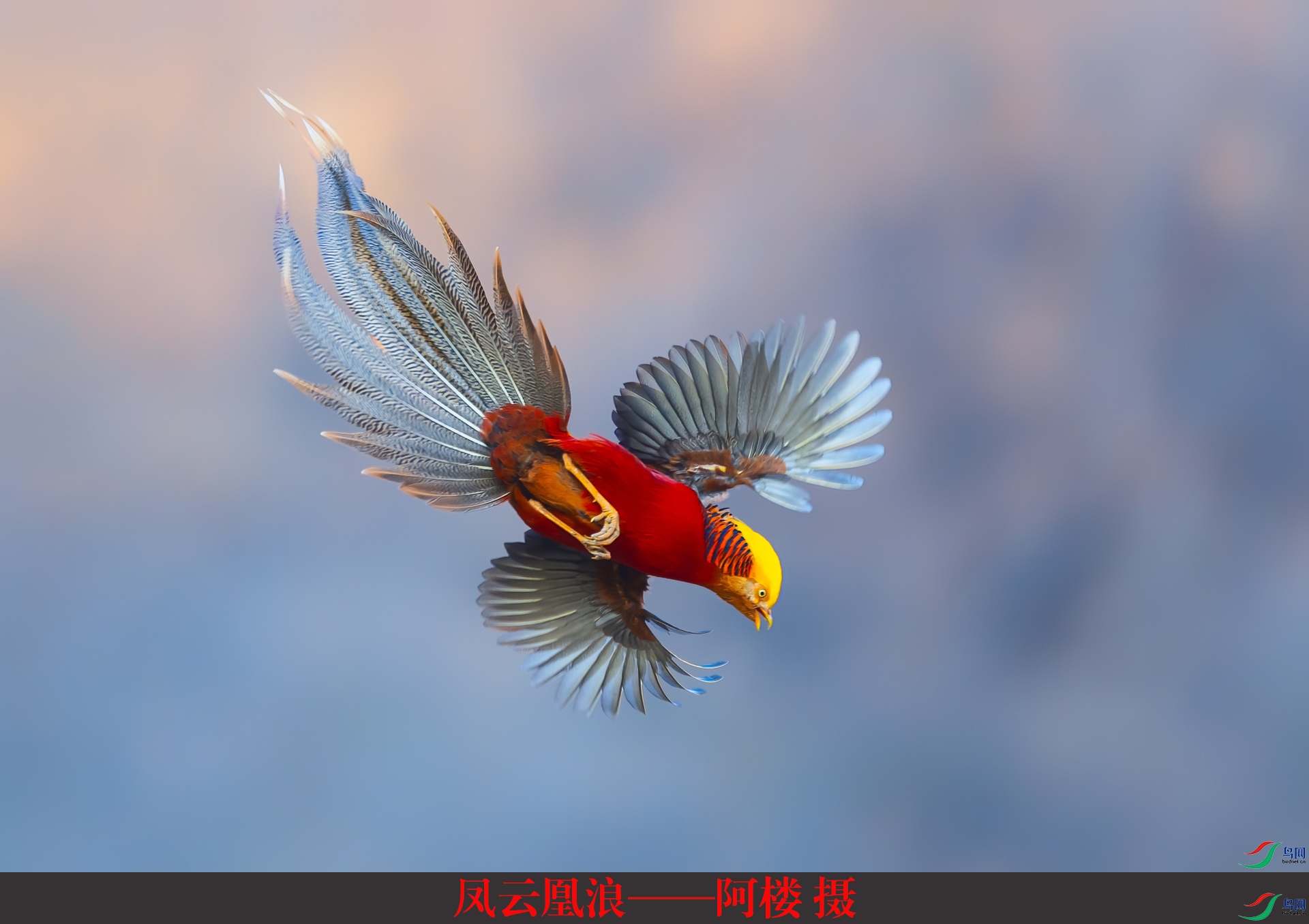 ���ƻ��ˡ�����¥ ��.jpg