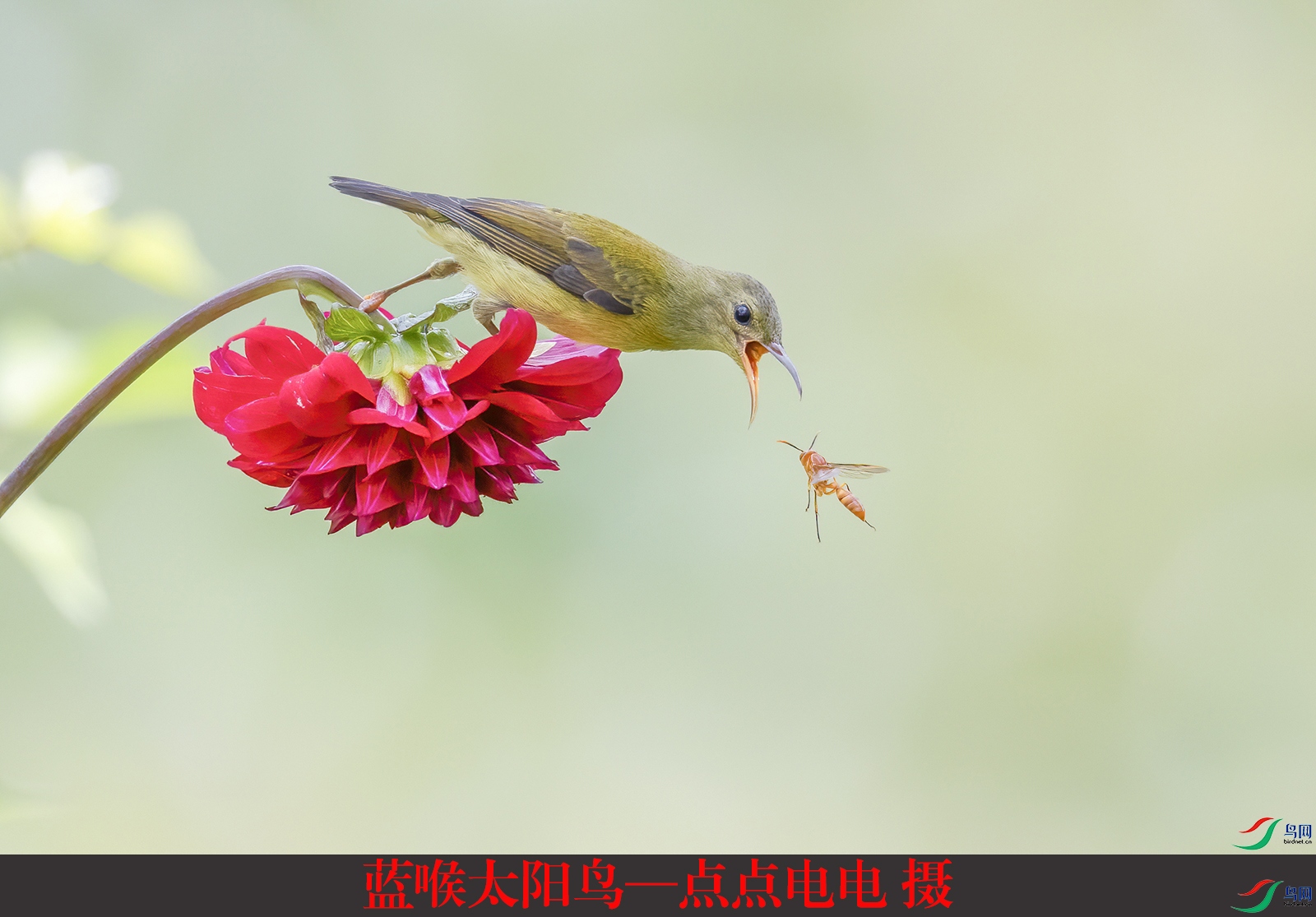 ����̫���񡪵���� ��.jpg