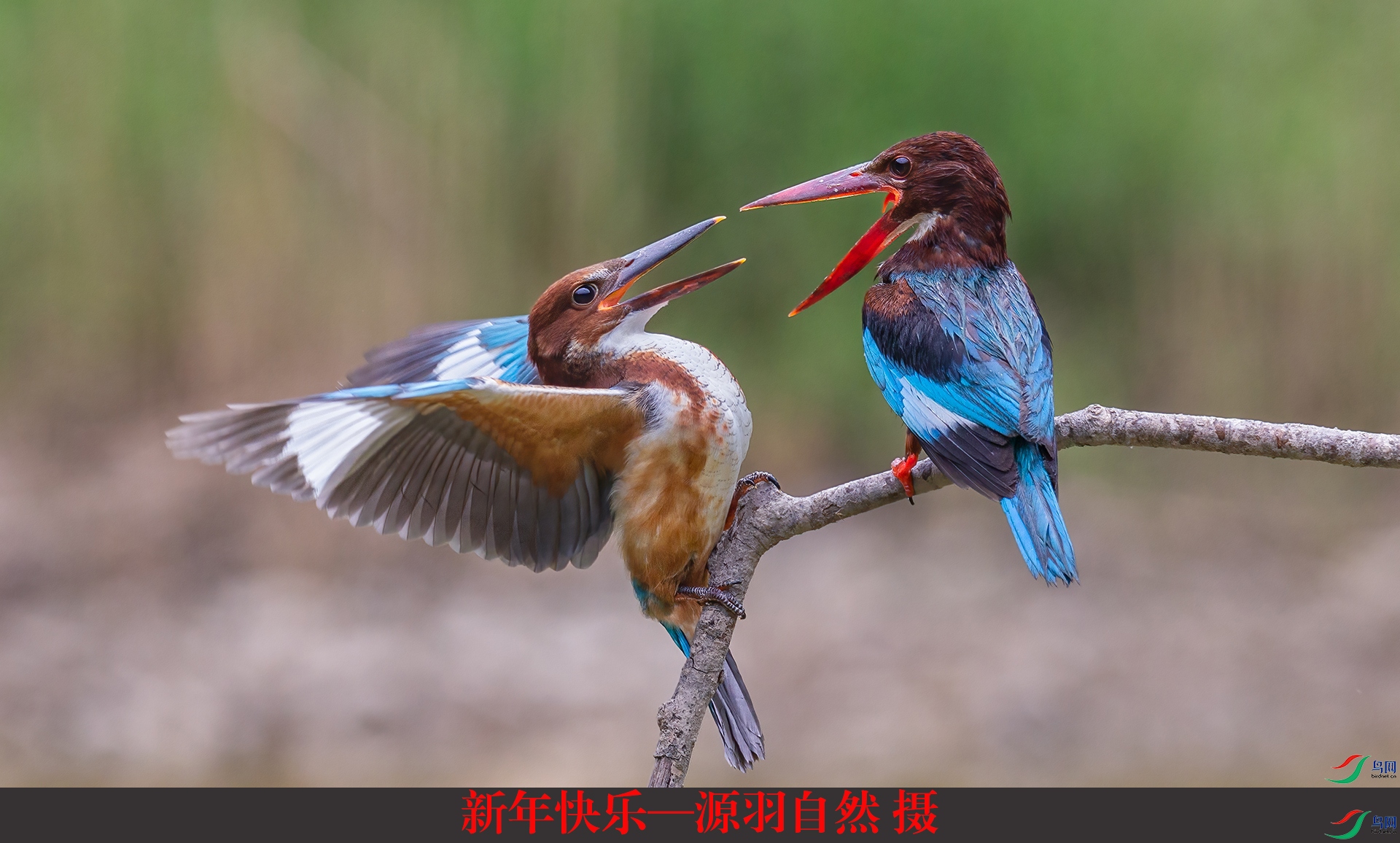 ������֡�Դ����Ȼ ��.jpg