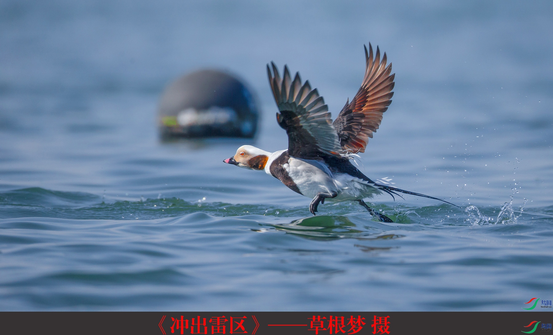 ����������������ݸ��� ��.jpg