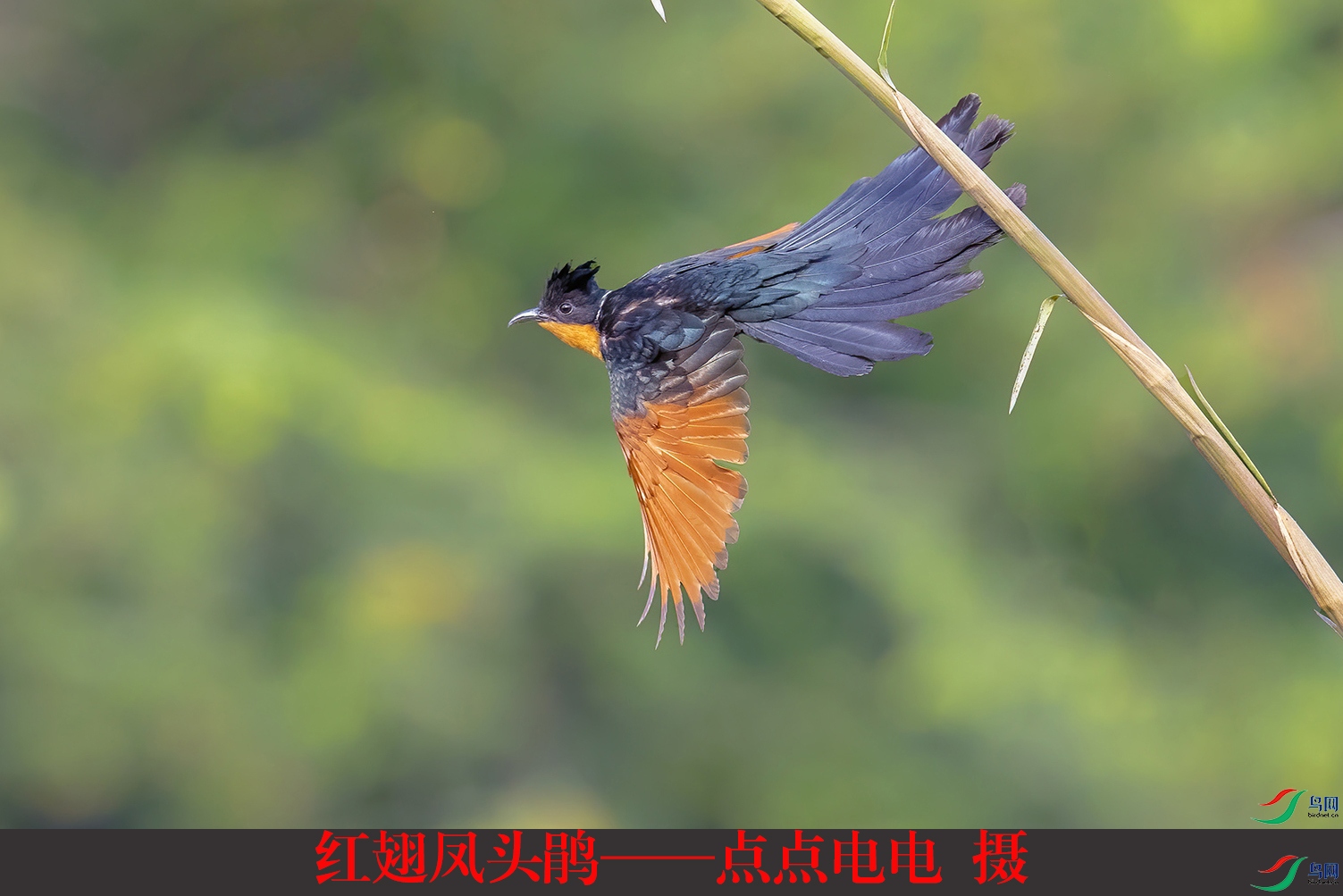 ����ͷ�顪�������  ��.jpg