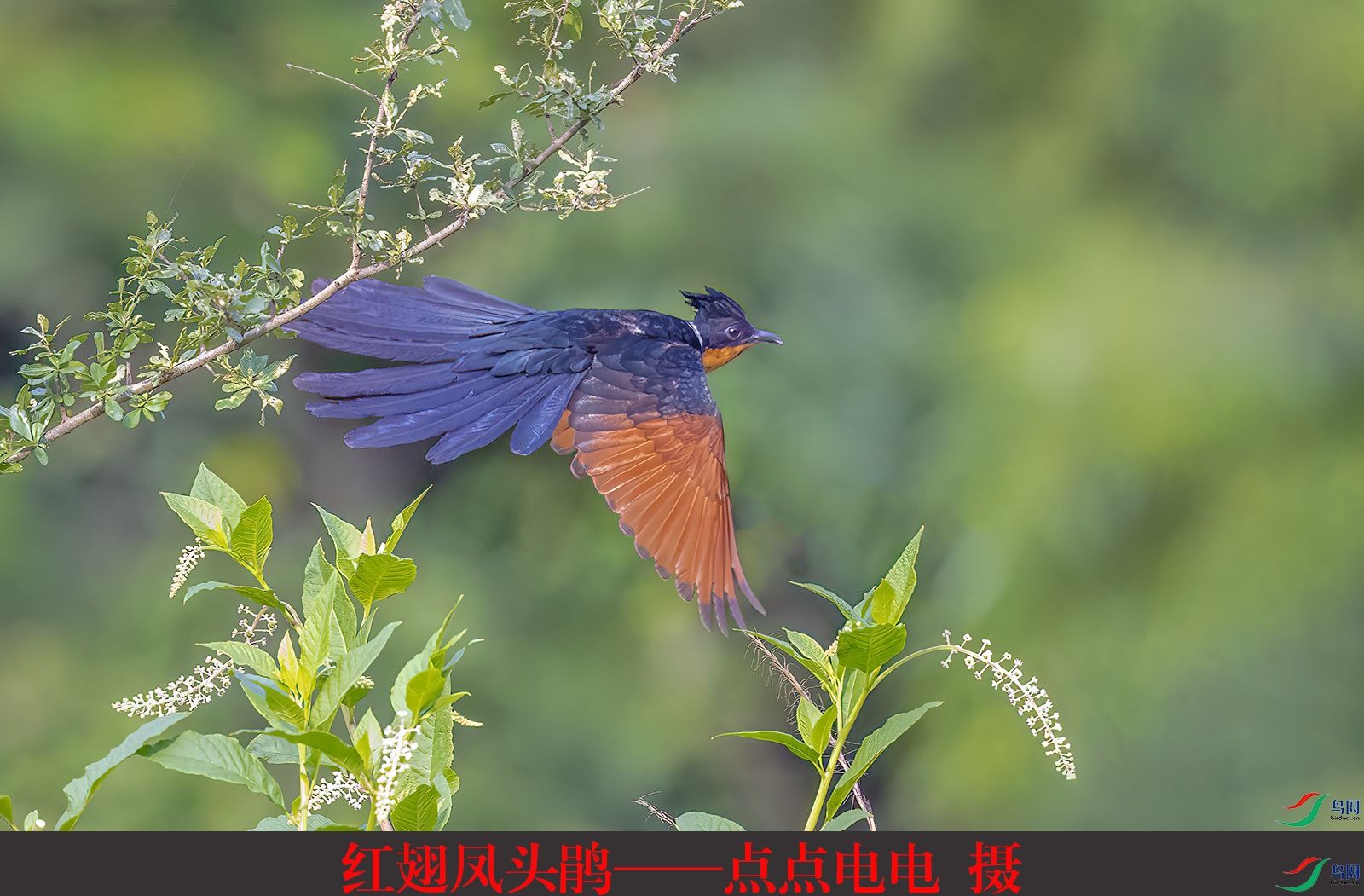 ����ͷ�顪�������  ��-1.jpg