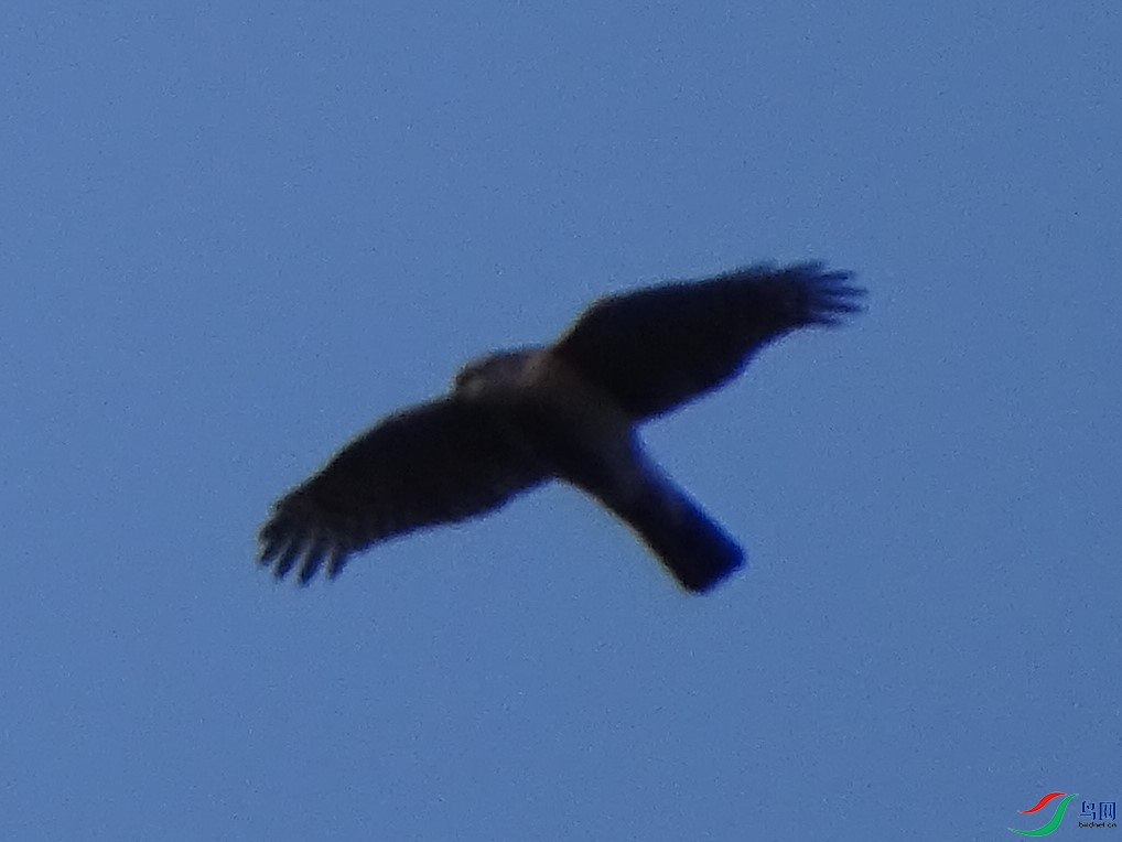 DSC09952.JPG