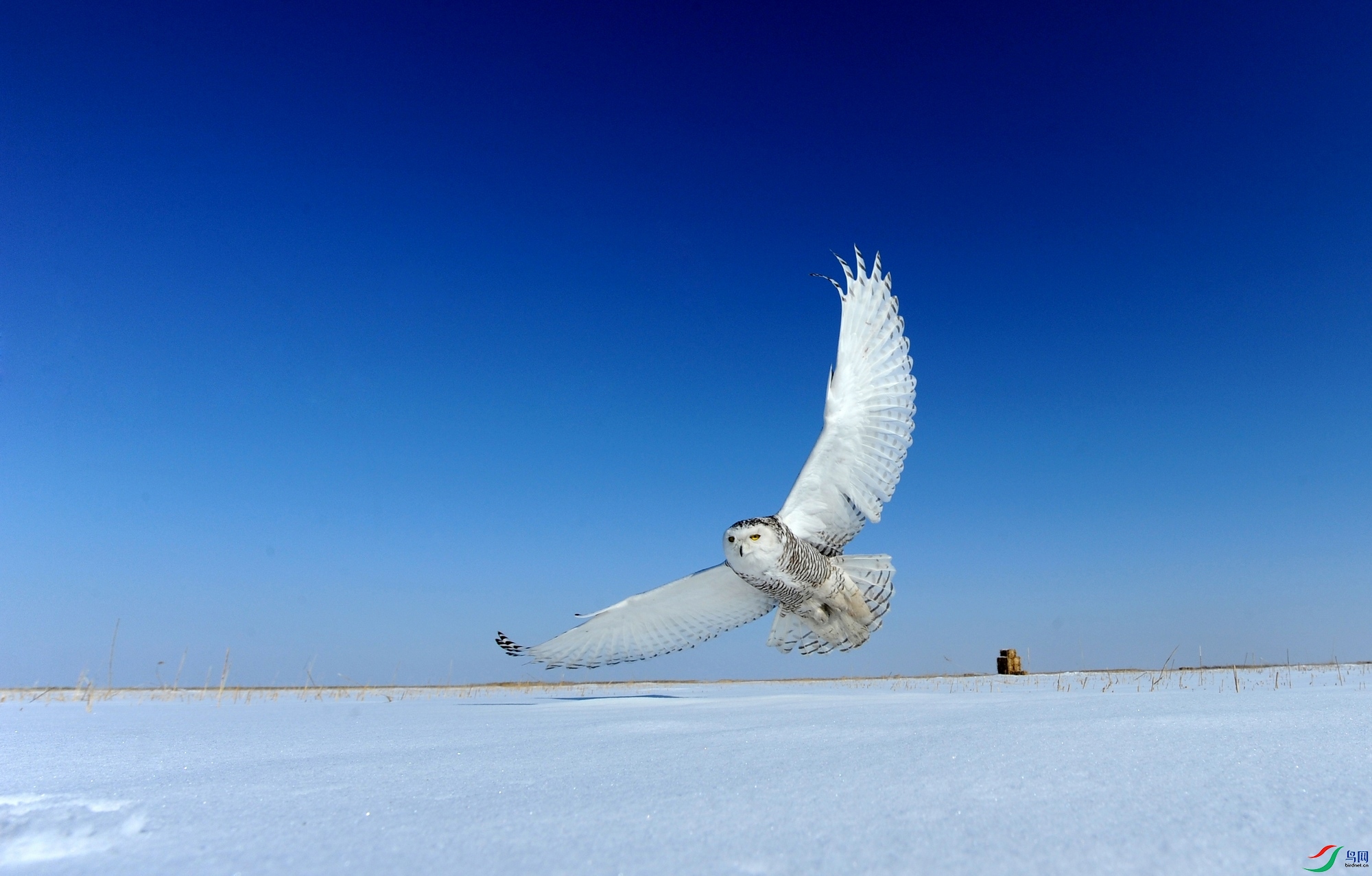 DSC_4400.jpg