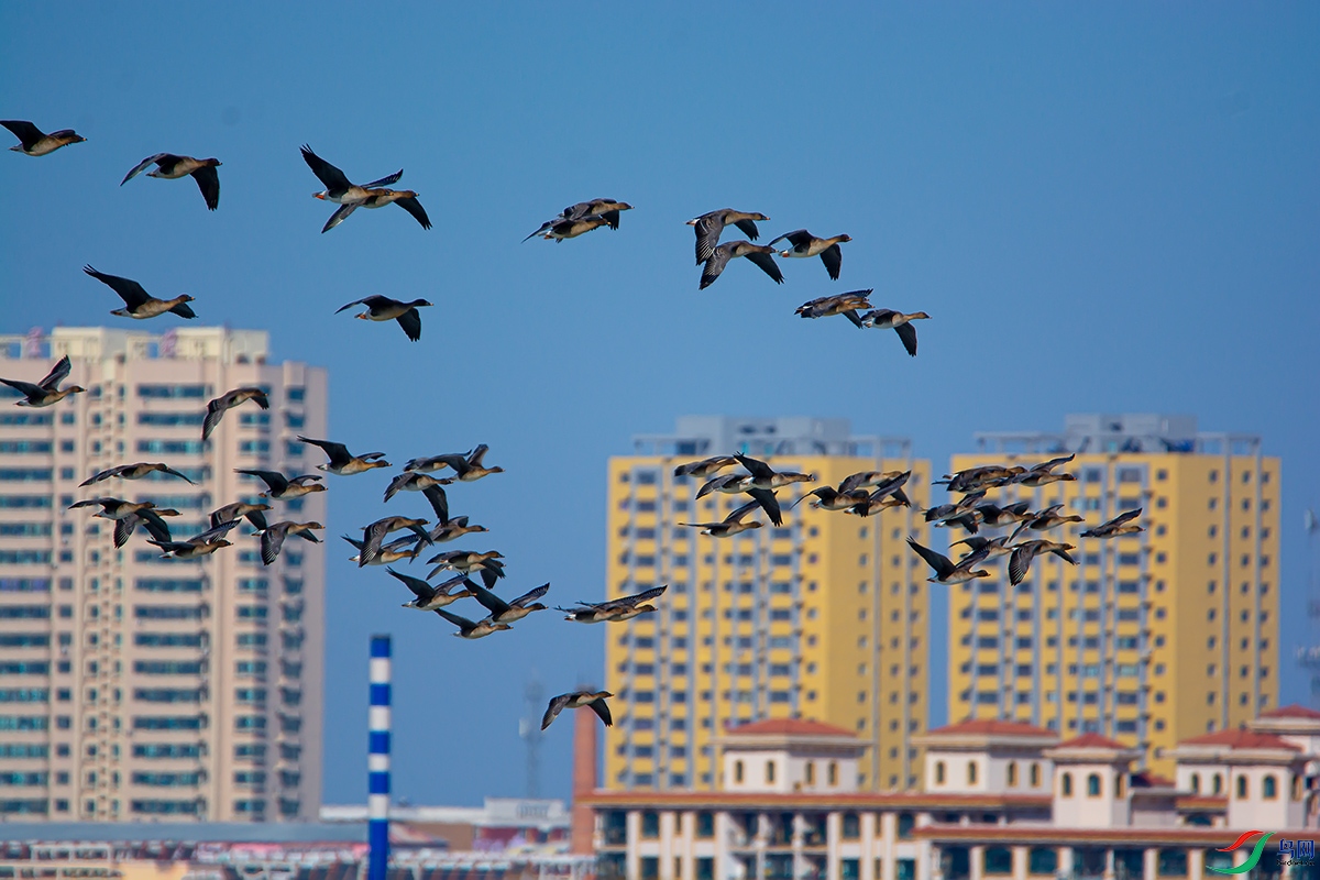 20190309 (37).jpg