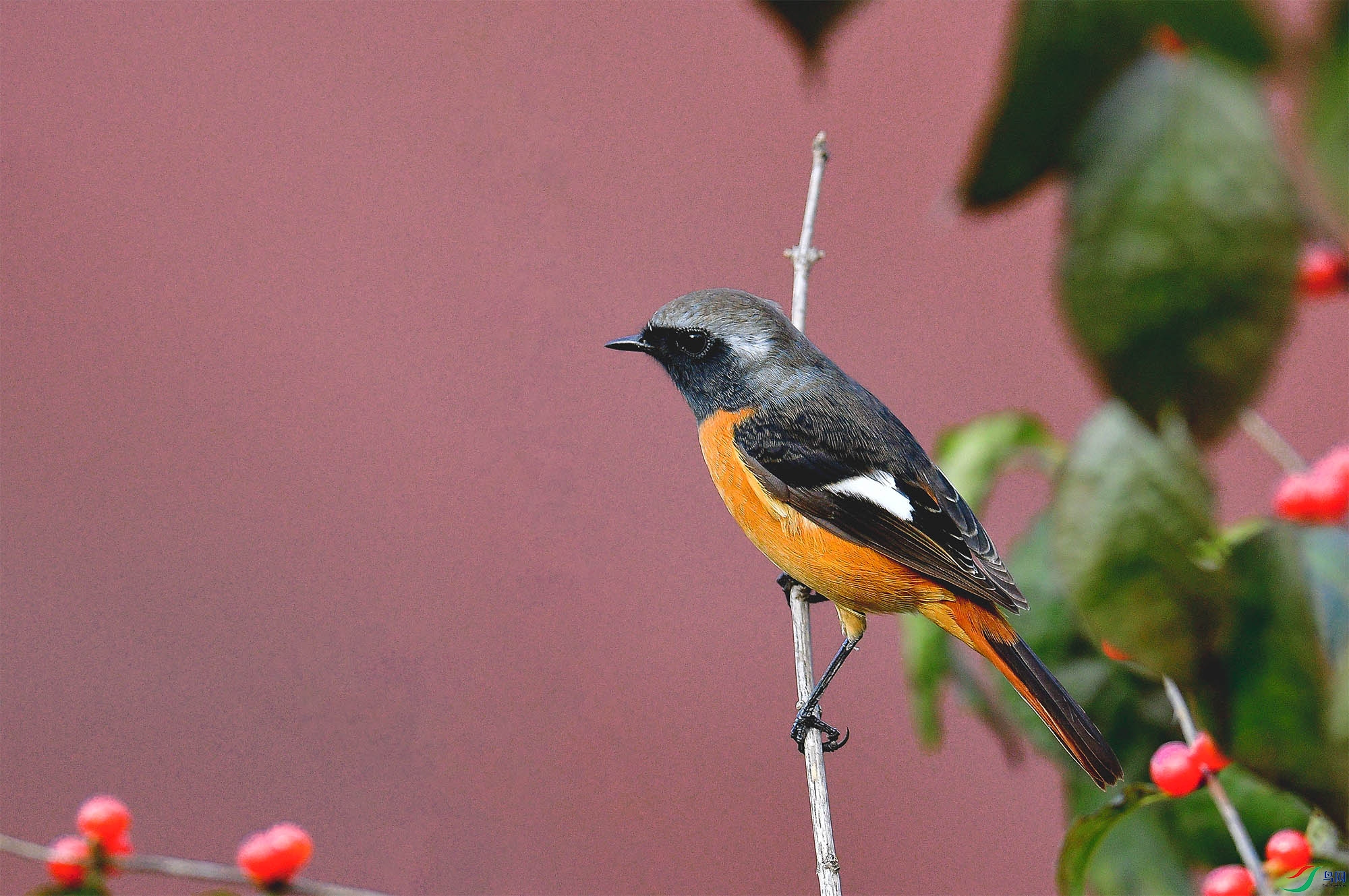 DSC_7926.jpg