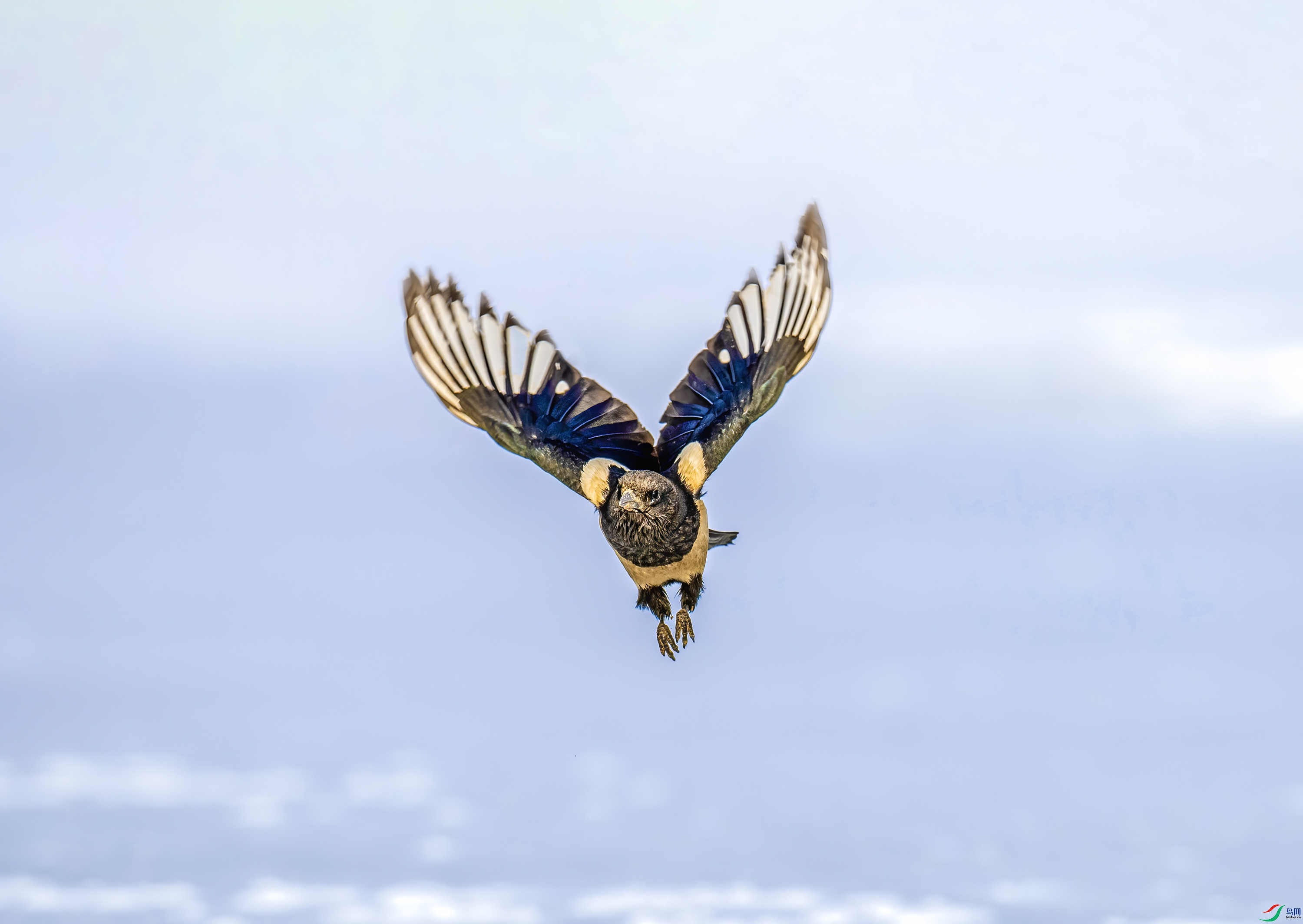 _JLN4358_1     ok.jpg