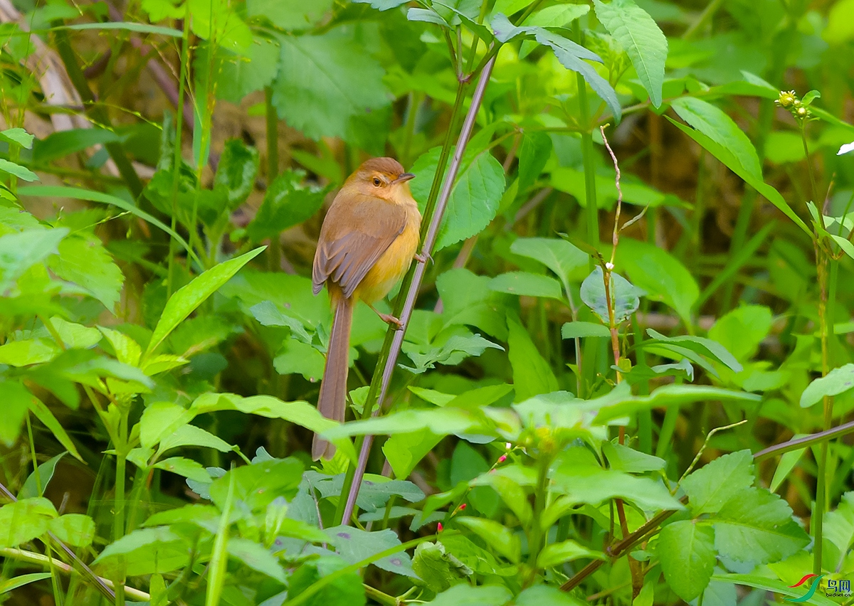 DSC_3856.JPG