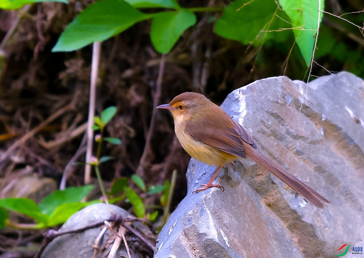 DSC_3907.JPG