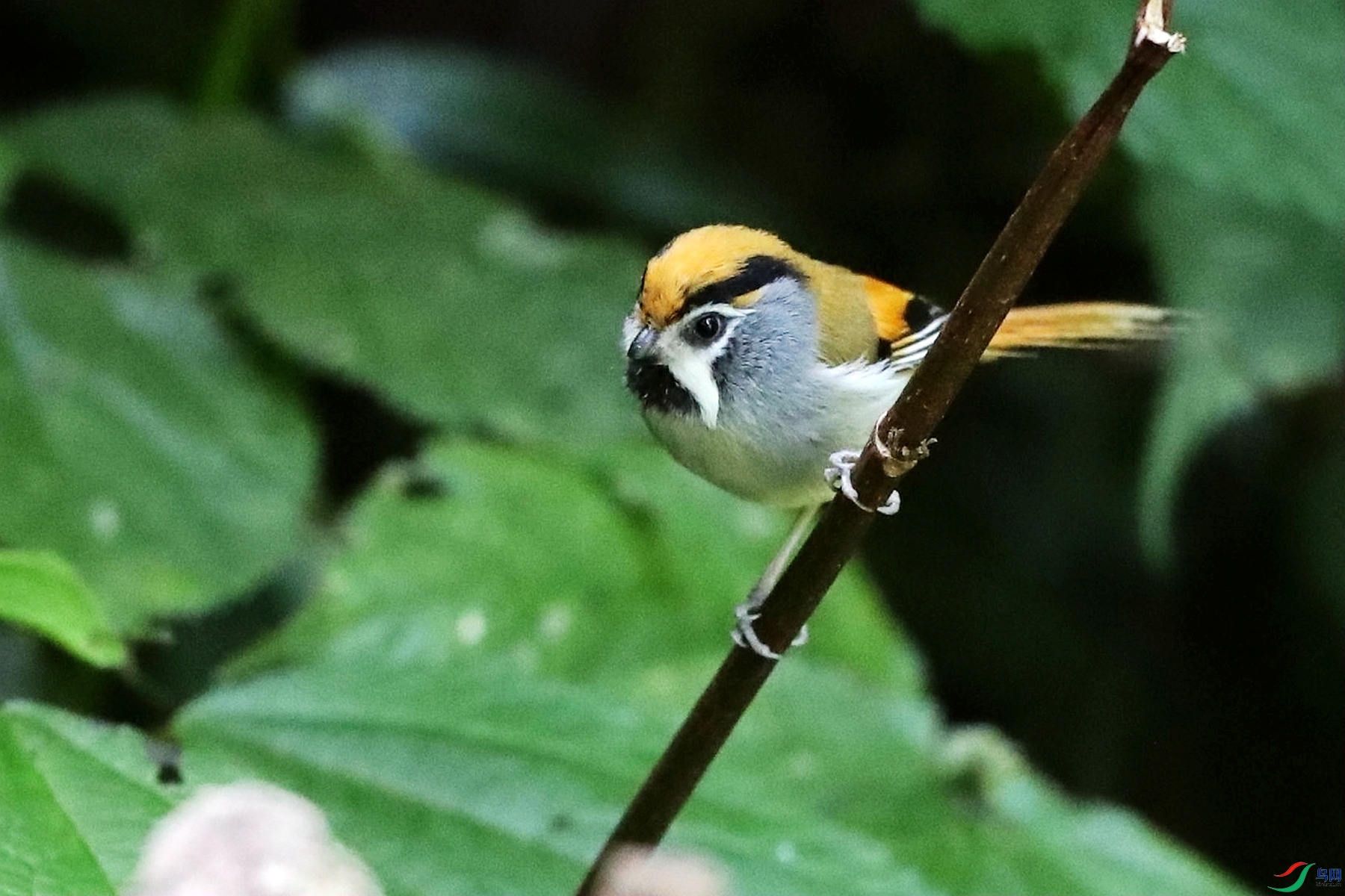 C38I6228_����.jpg
