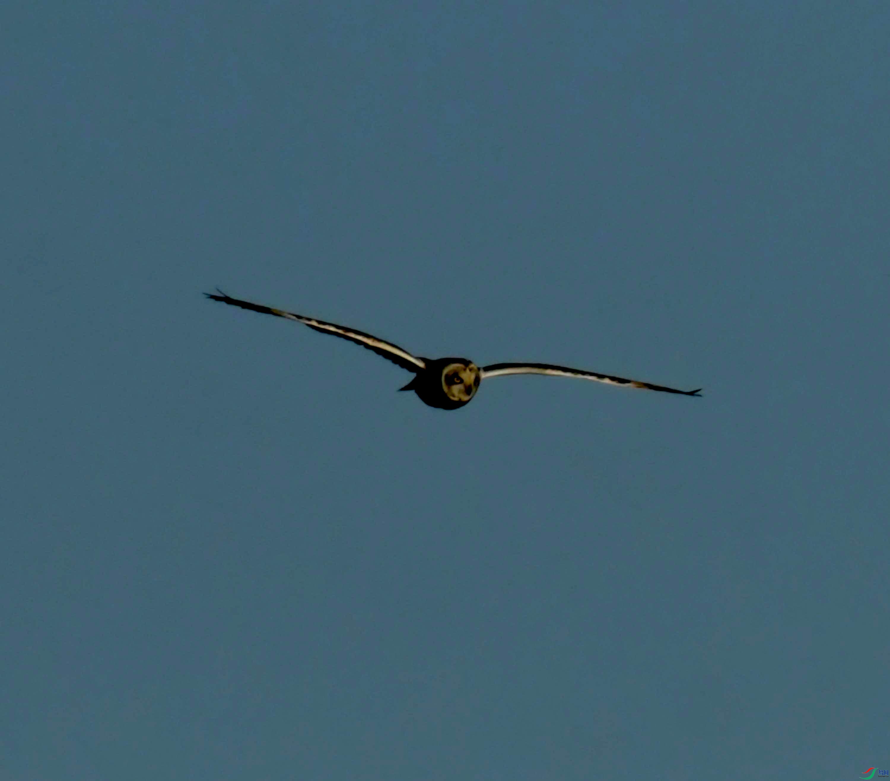 DSC_8953.JPG