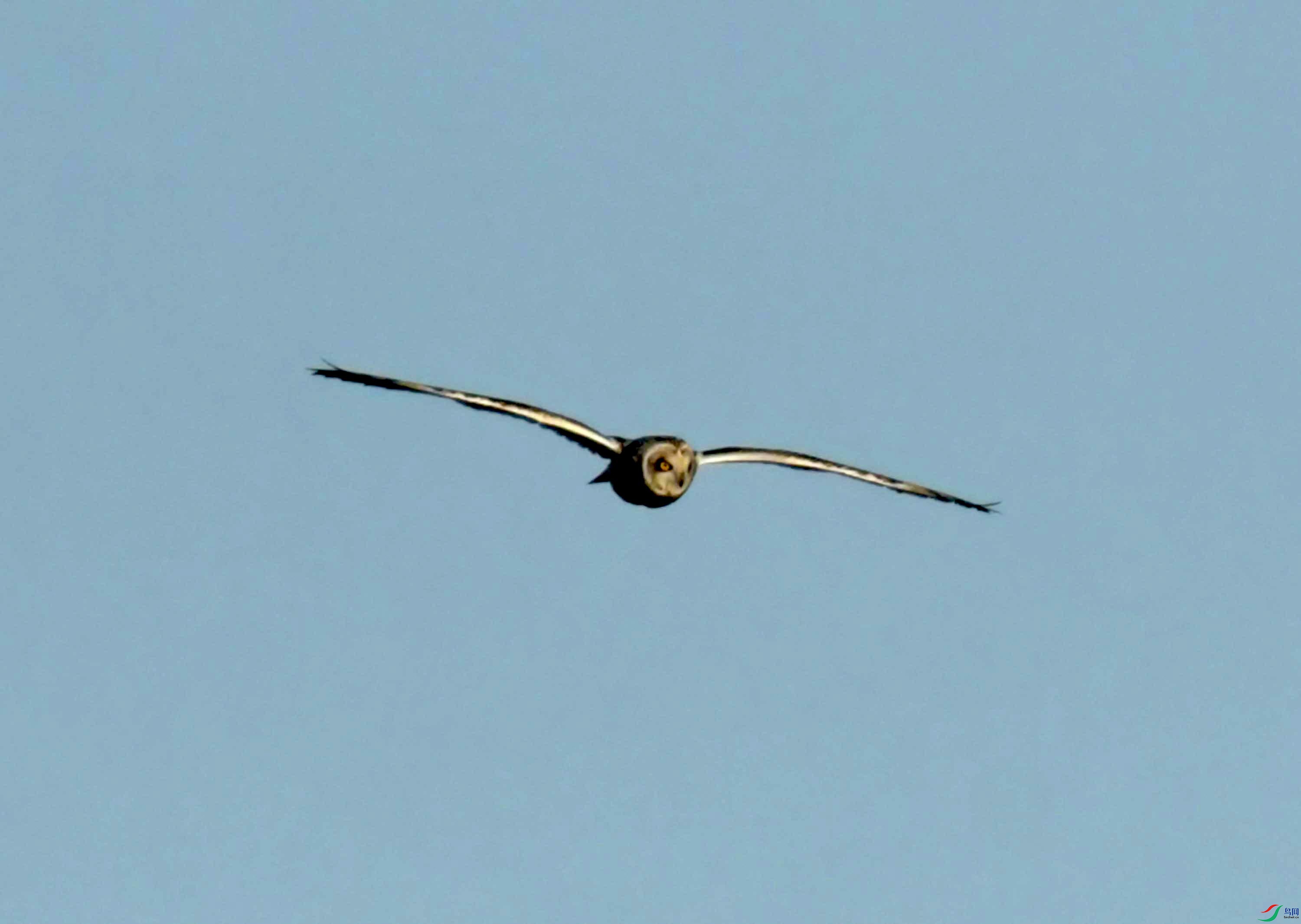 DSC_8952.JPG