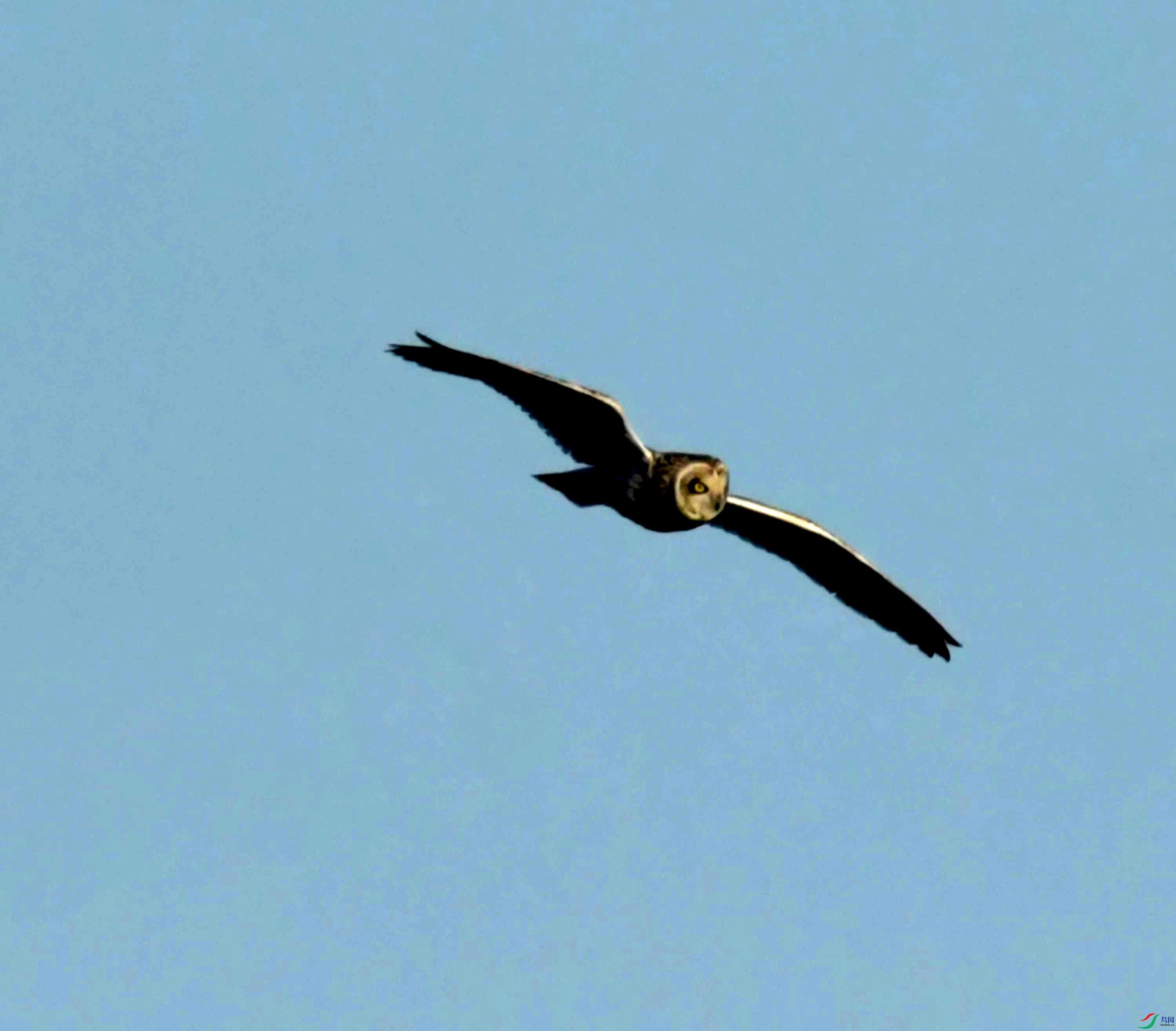 DSC_8954.JPG