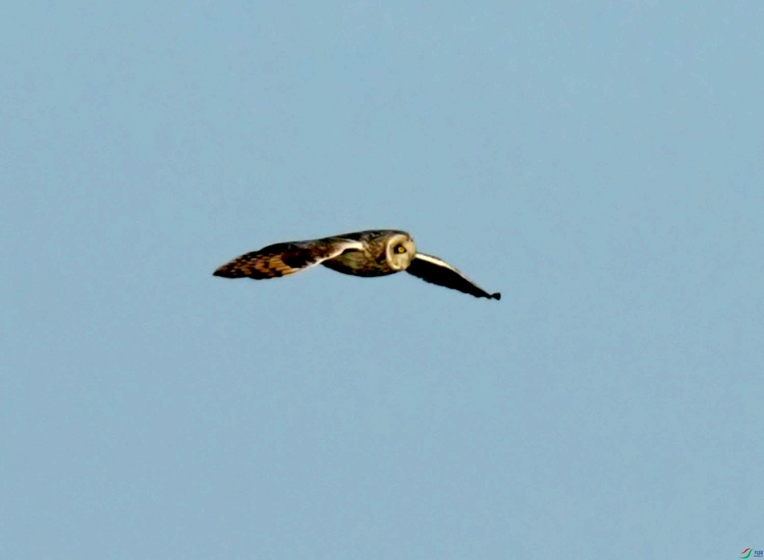 DSC_8957.JPG