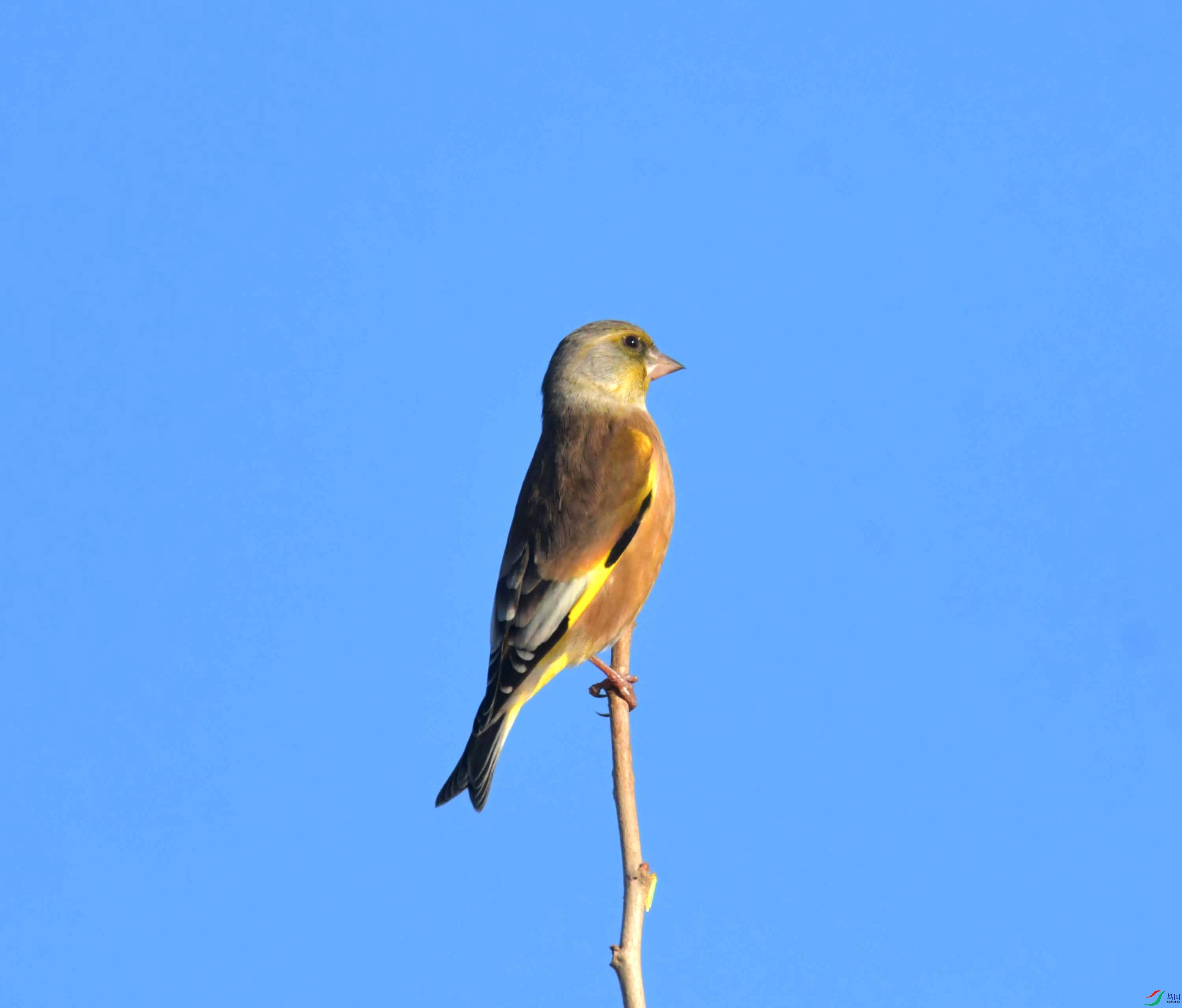 DSC_2325.JPG