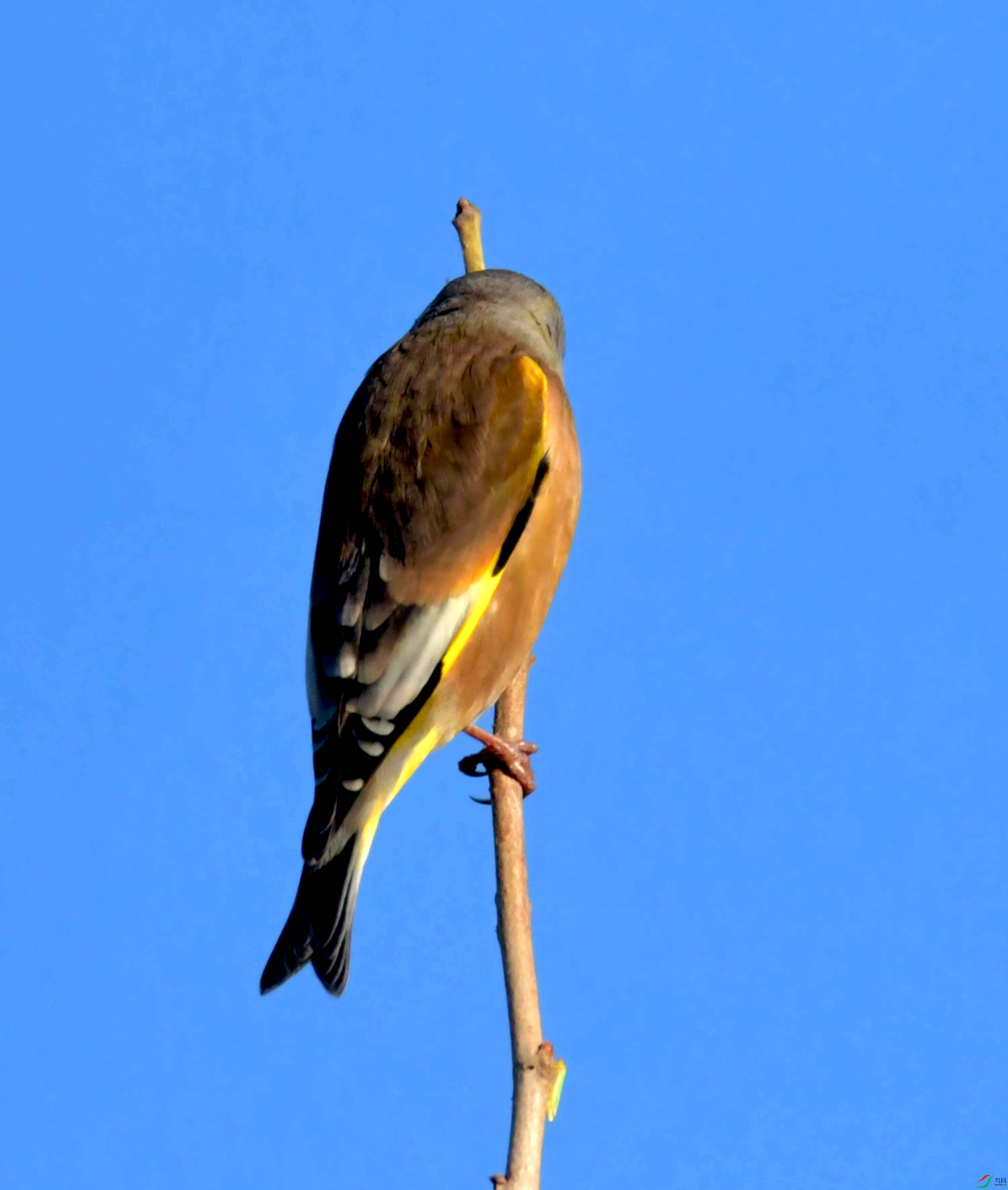 DSC_2334.JPG