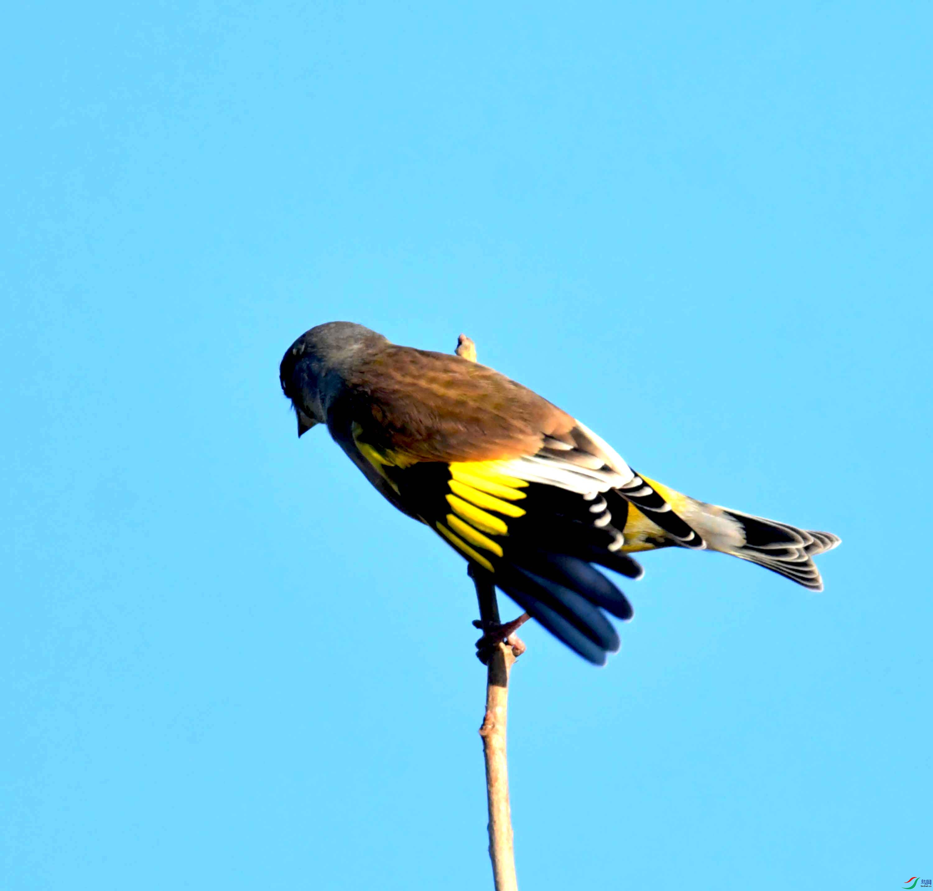 DSC_2335.JPG