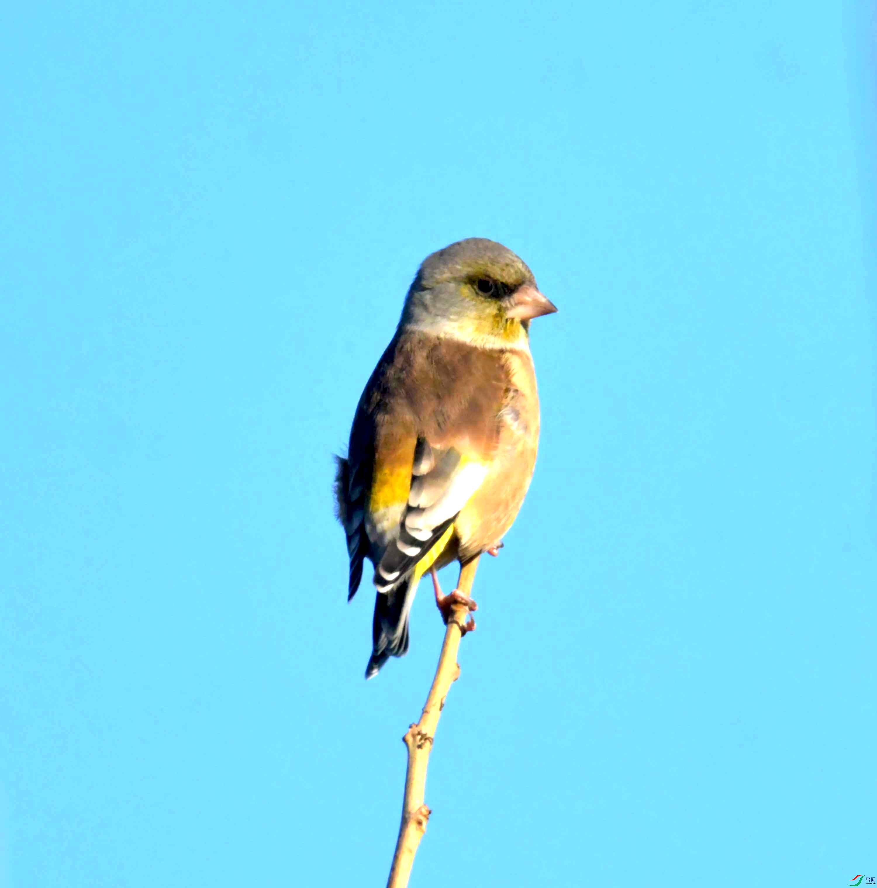DSC_2343.JPG