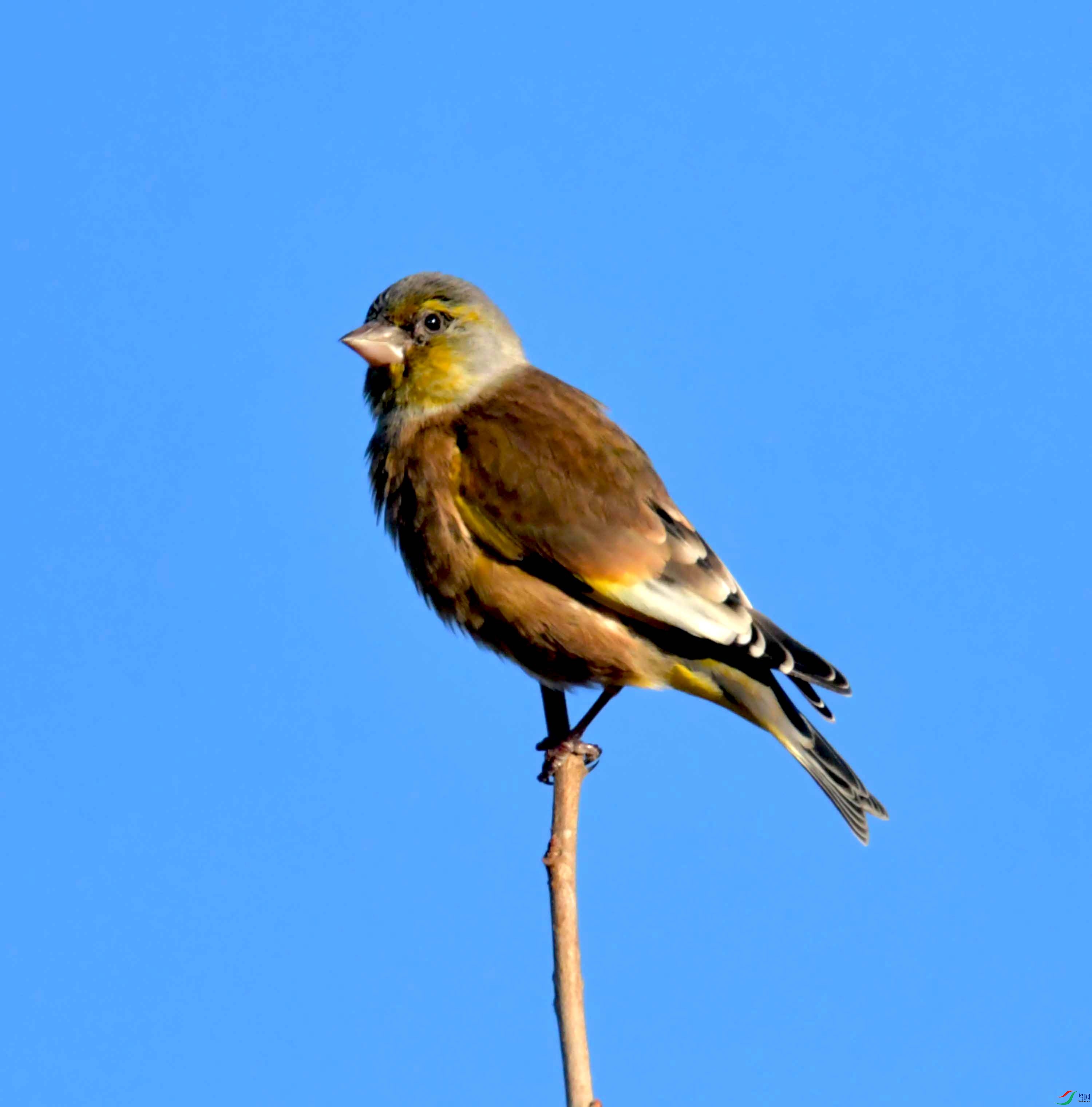 DSC_2342.JPG