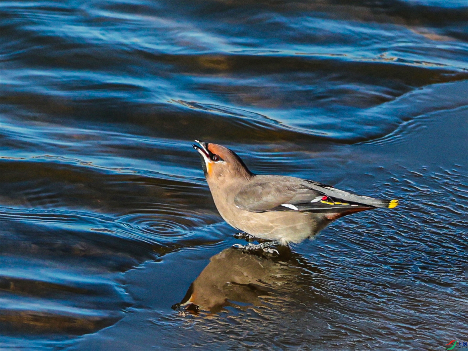 1K3A4886 ����1.jpg