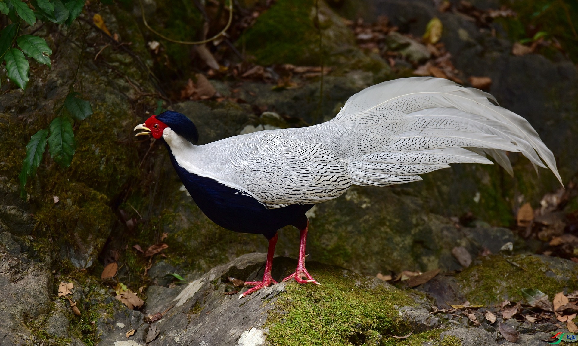 D8I_5759.jpg