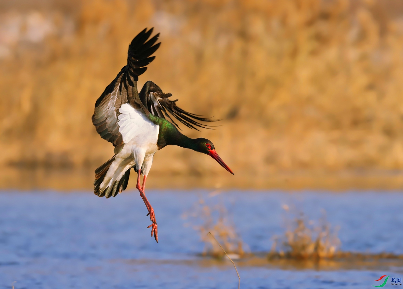 ׼������