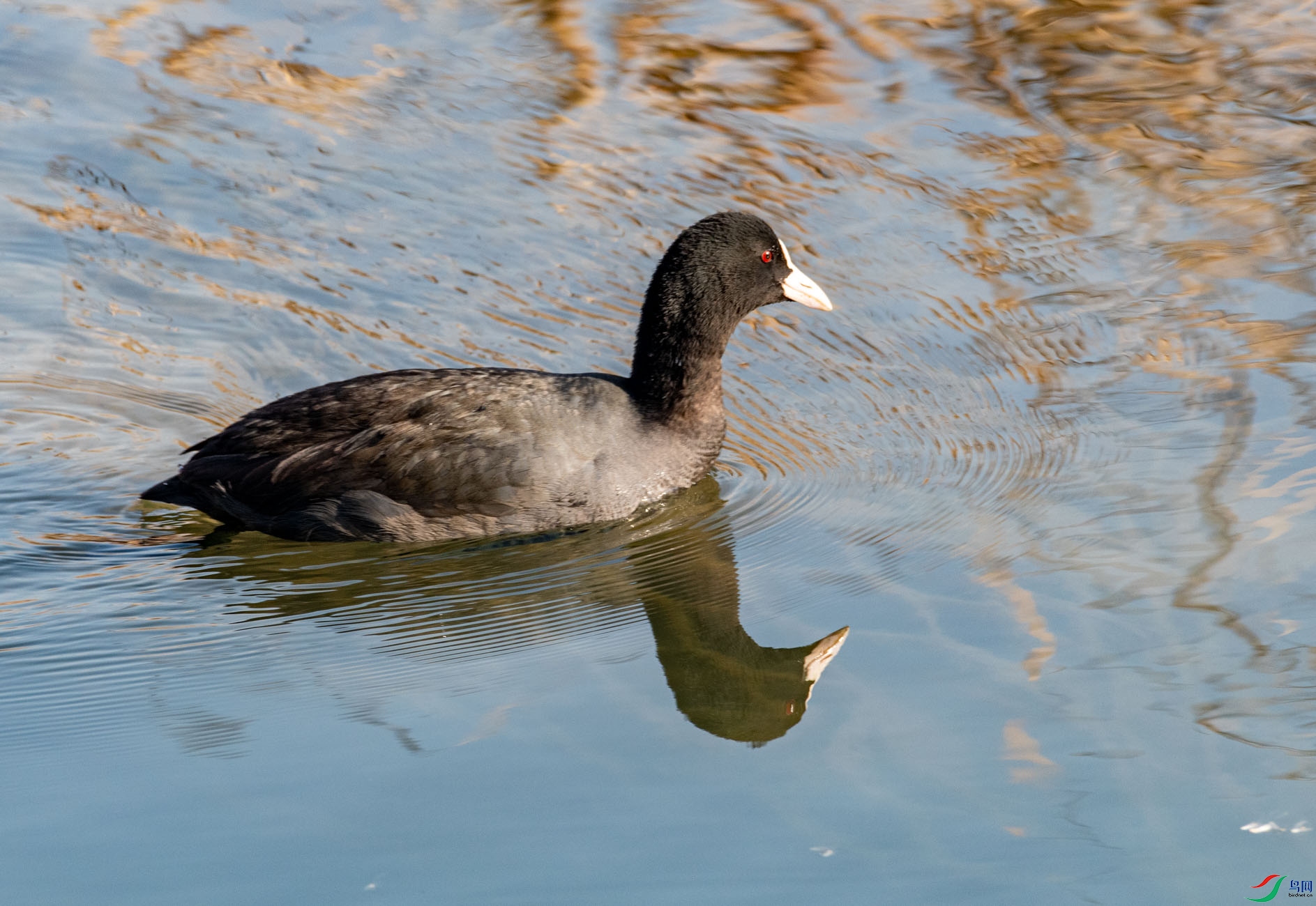 DSC_3679.jpg