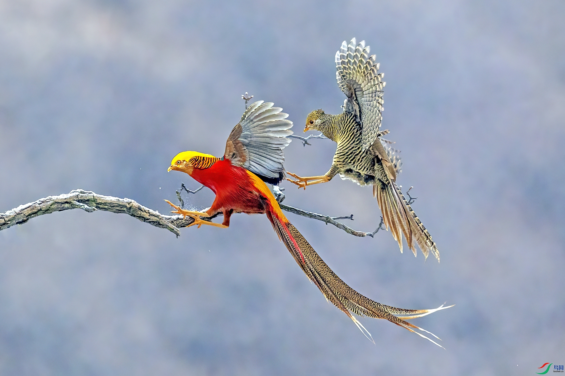 ��ɽ�츹����284��˫��.jpg