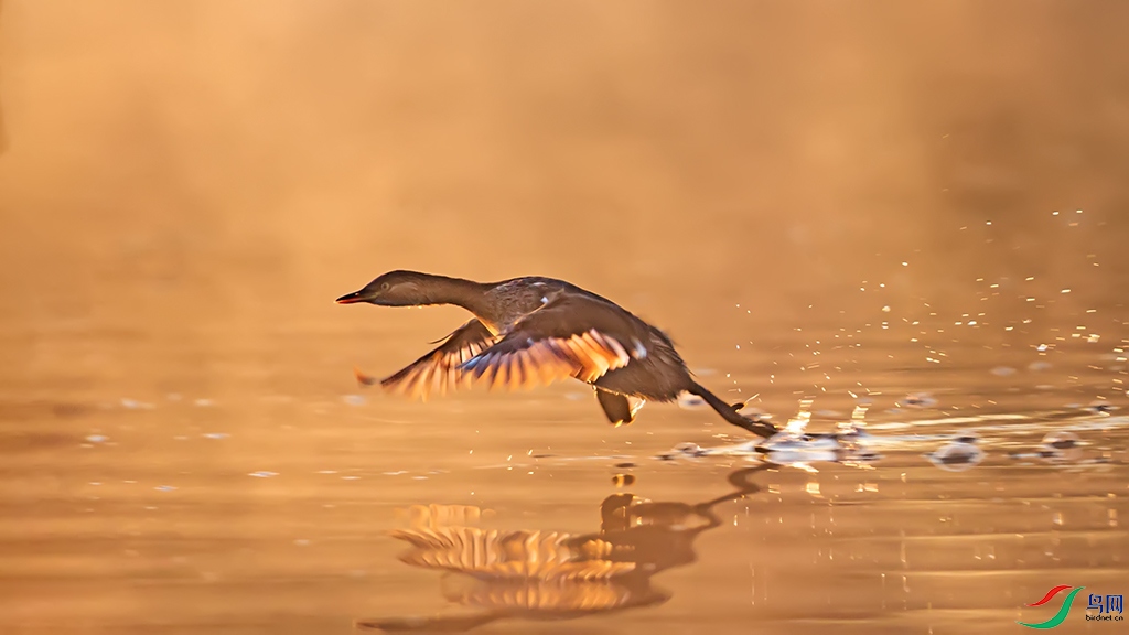 xzthyR221011 (220).jpg