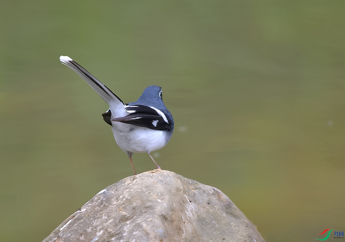 DSC_3514.JPG