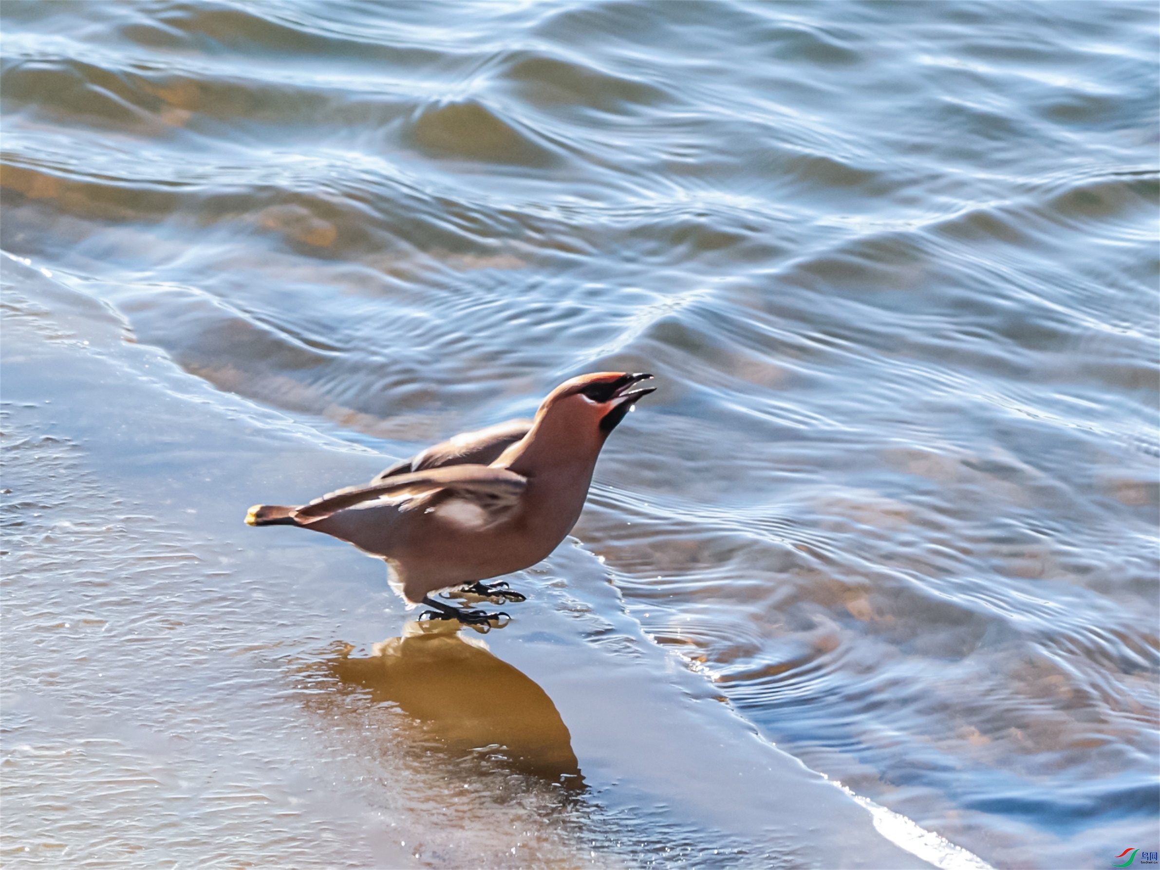 1K3A5248 ����1.jpg