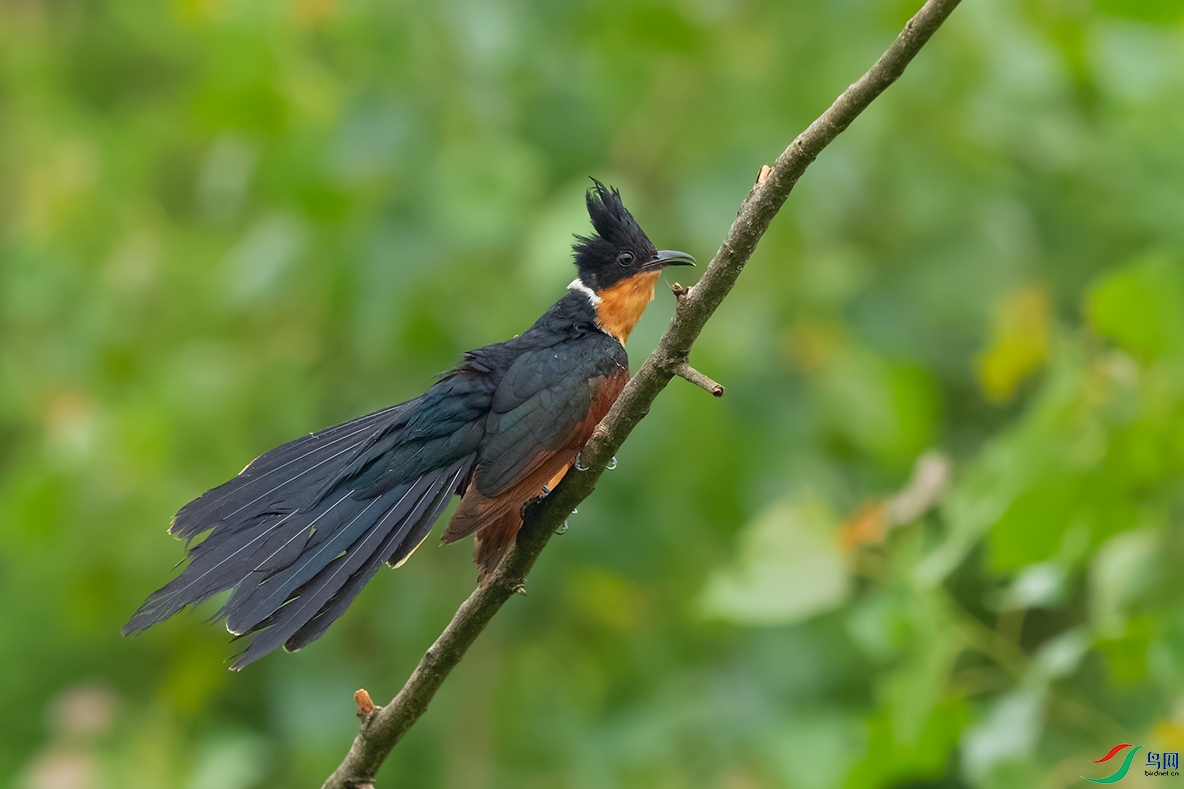 DSC_2971_DxOa.jpg