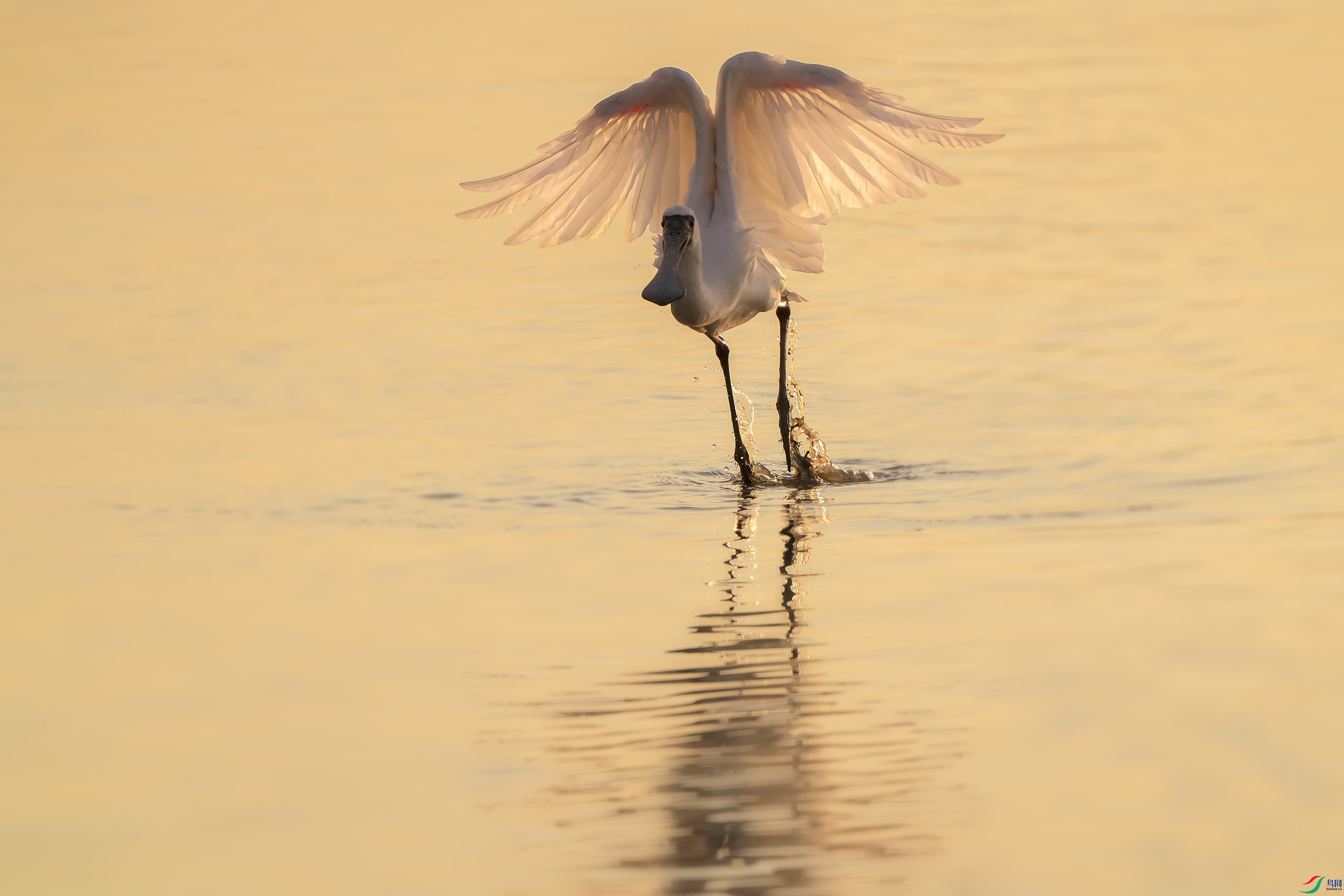 DSC00246 ����1.jpg