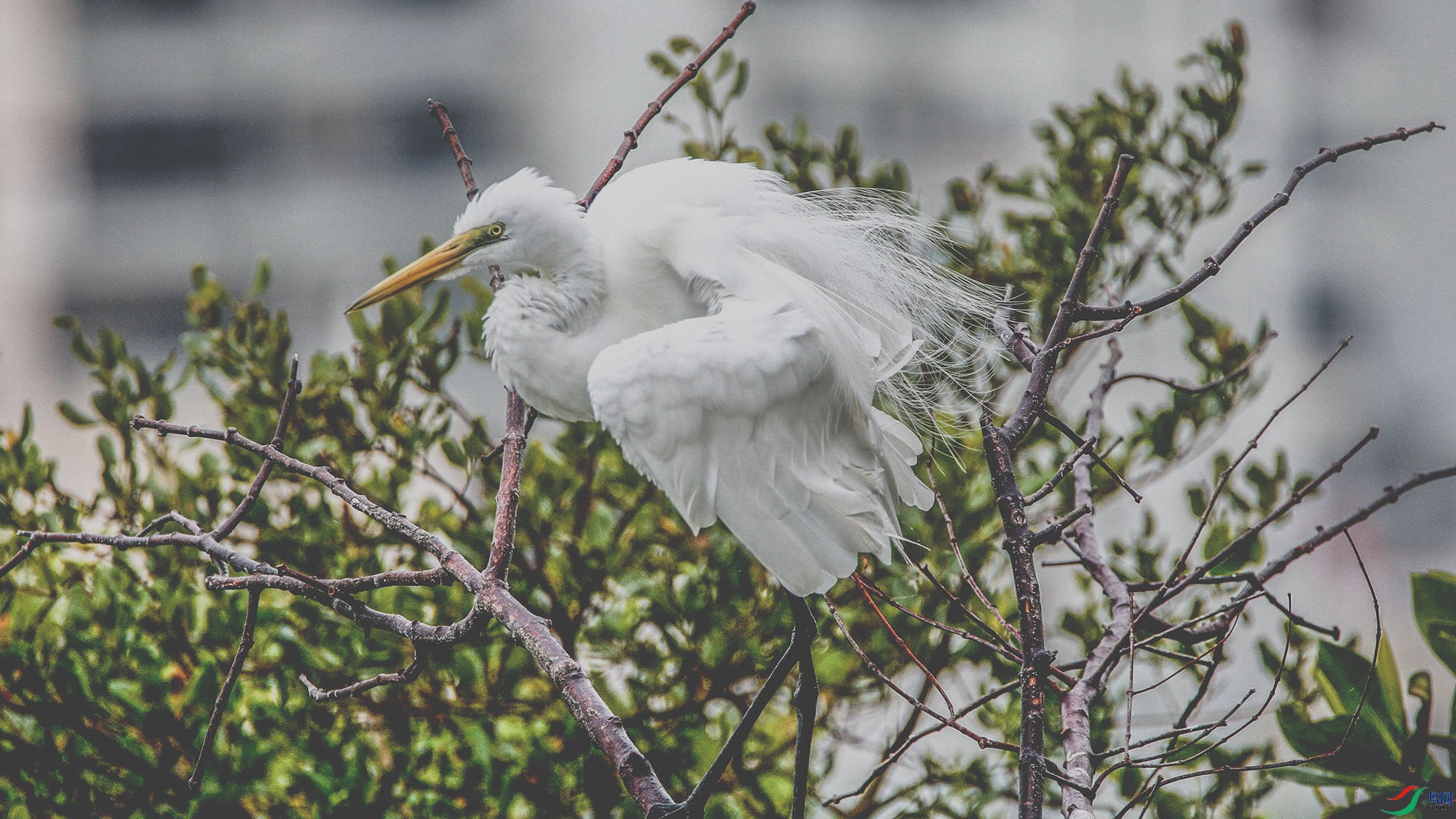 D85A6133 ����.jpg