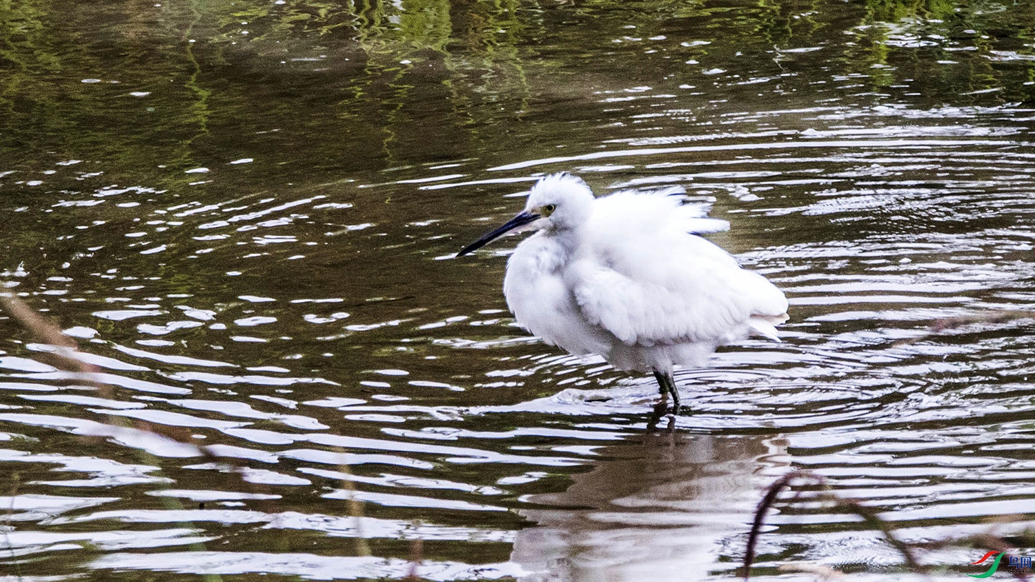 IMG_5668 ����.jpg