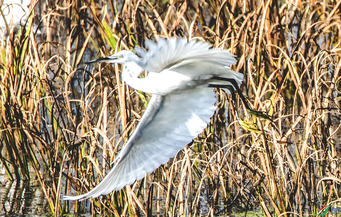 IMG_6586 ����.jpg